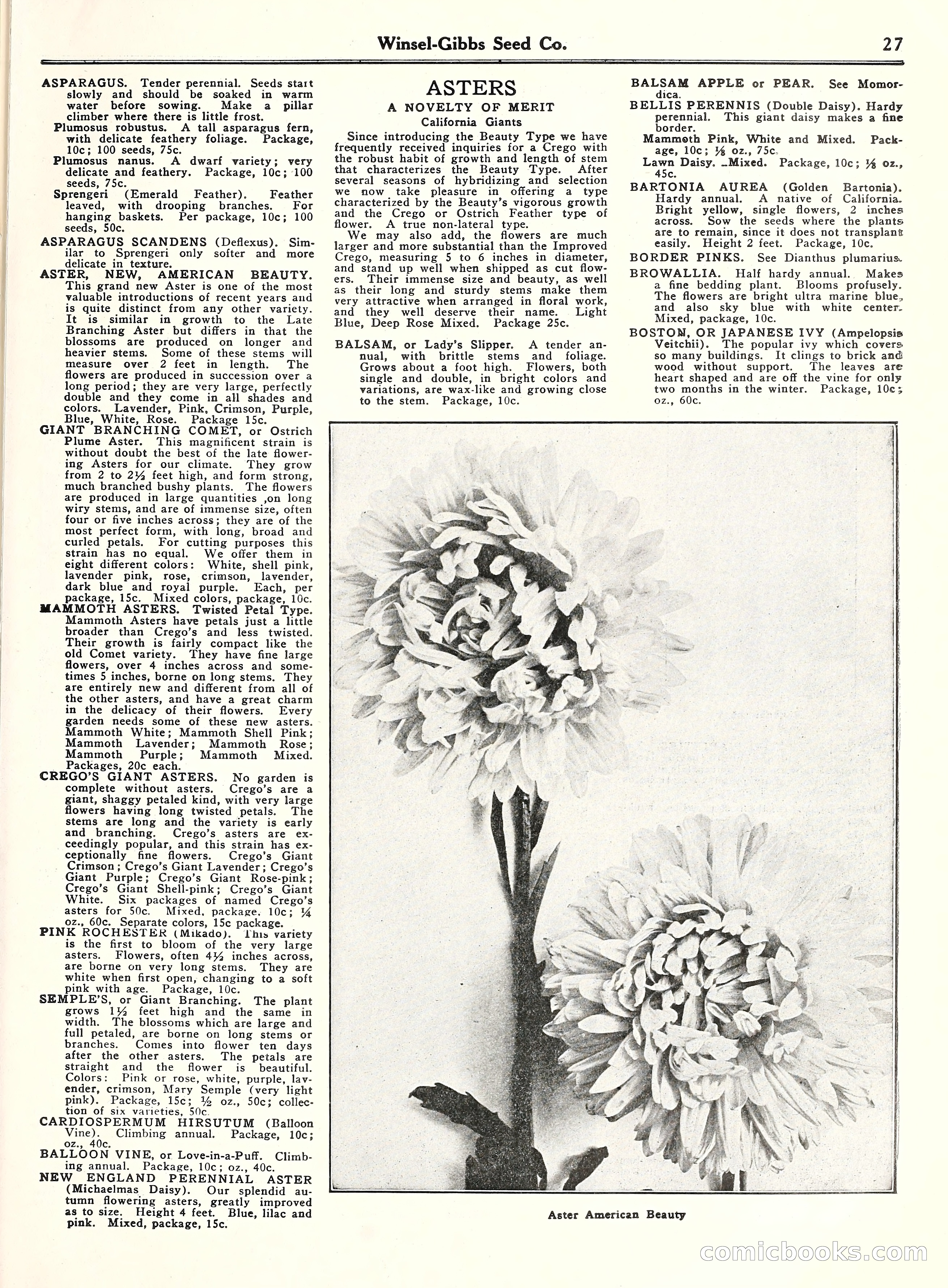Blue Book of Gardening, 1929 — page 32 of 72