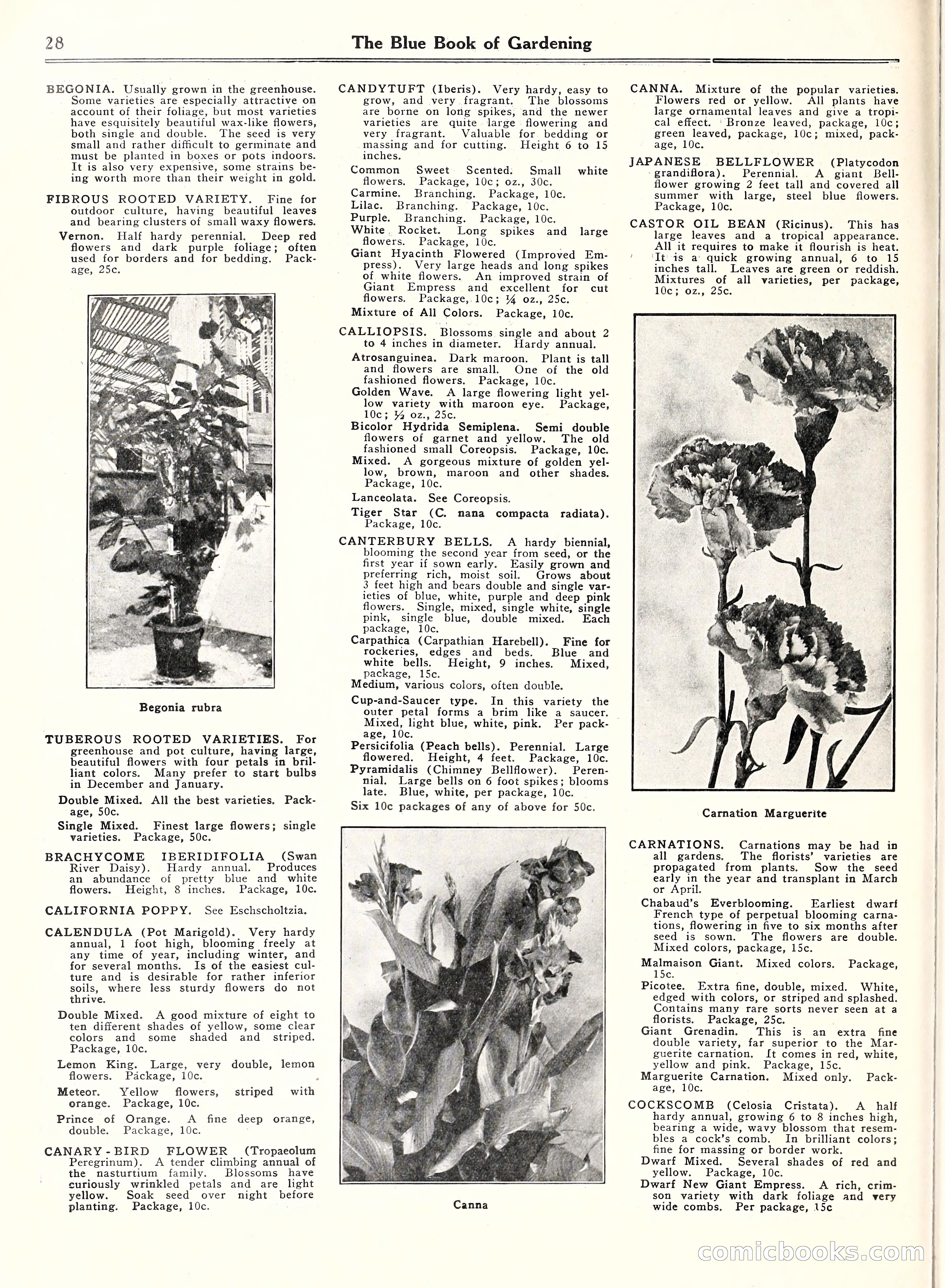 Blue Book of Gardening, 1929 — page 33 of 72
