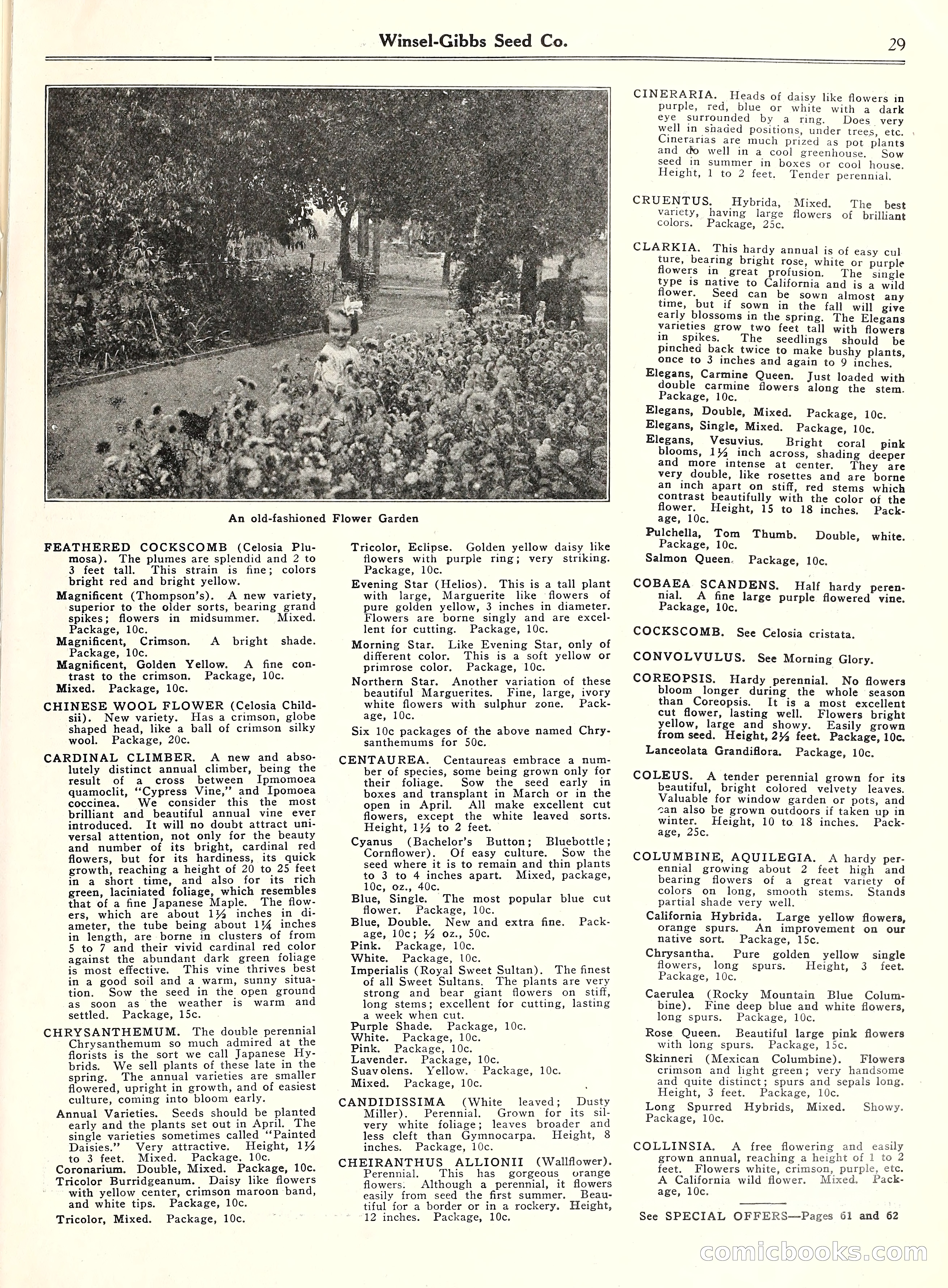 Blue Book of Gardening, 1929 — page 34 of 72