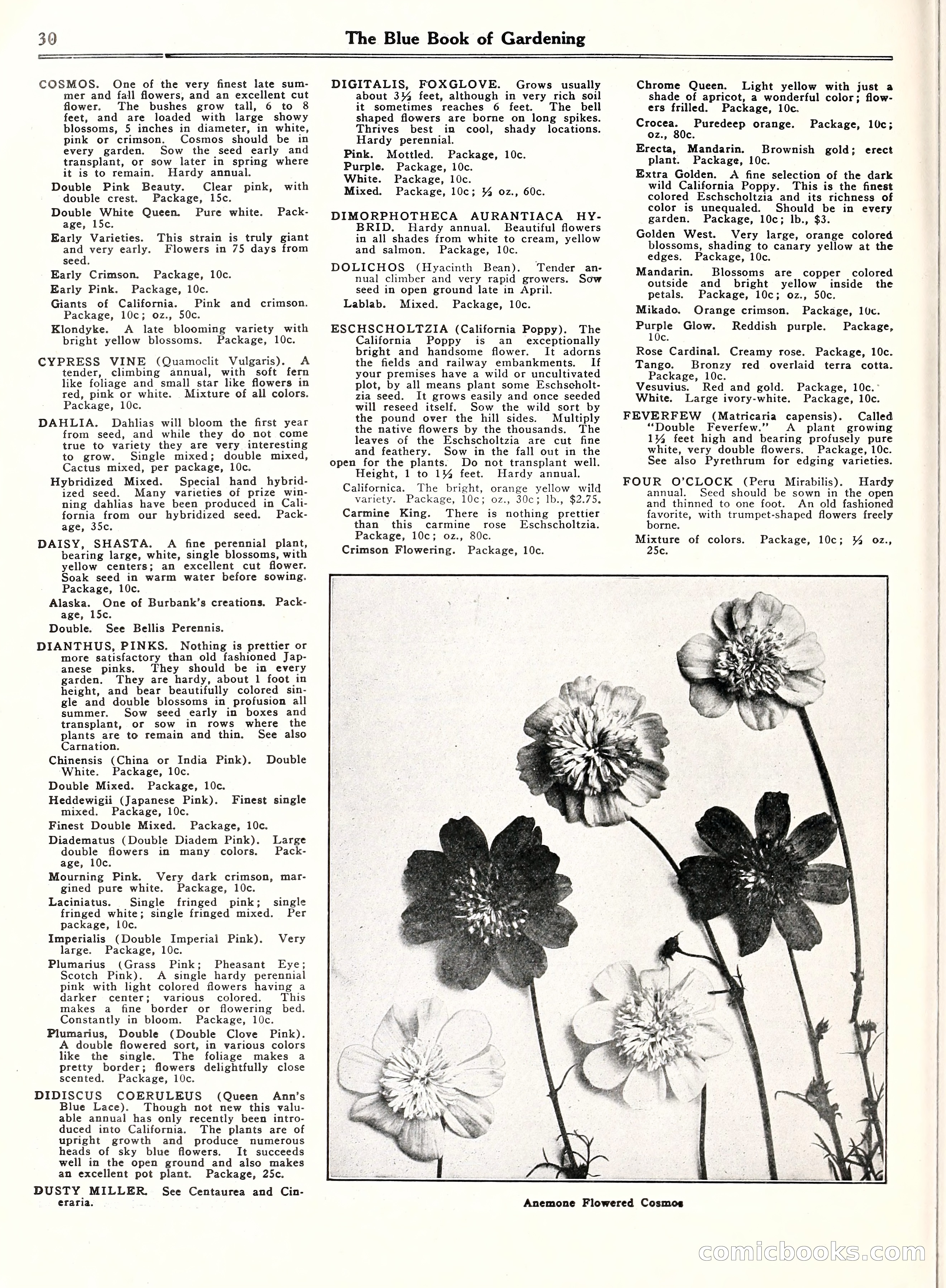 Blue Book of Gardening, 1929 — page 35 of 72