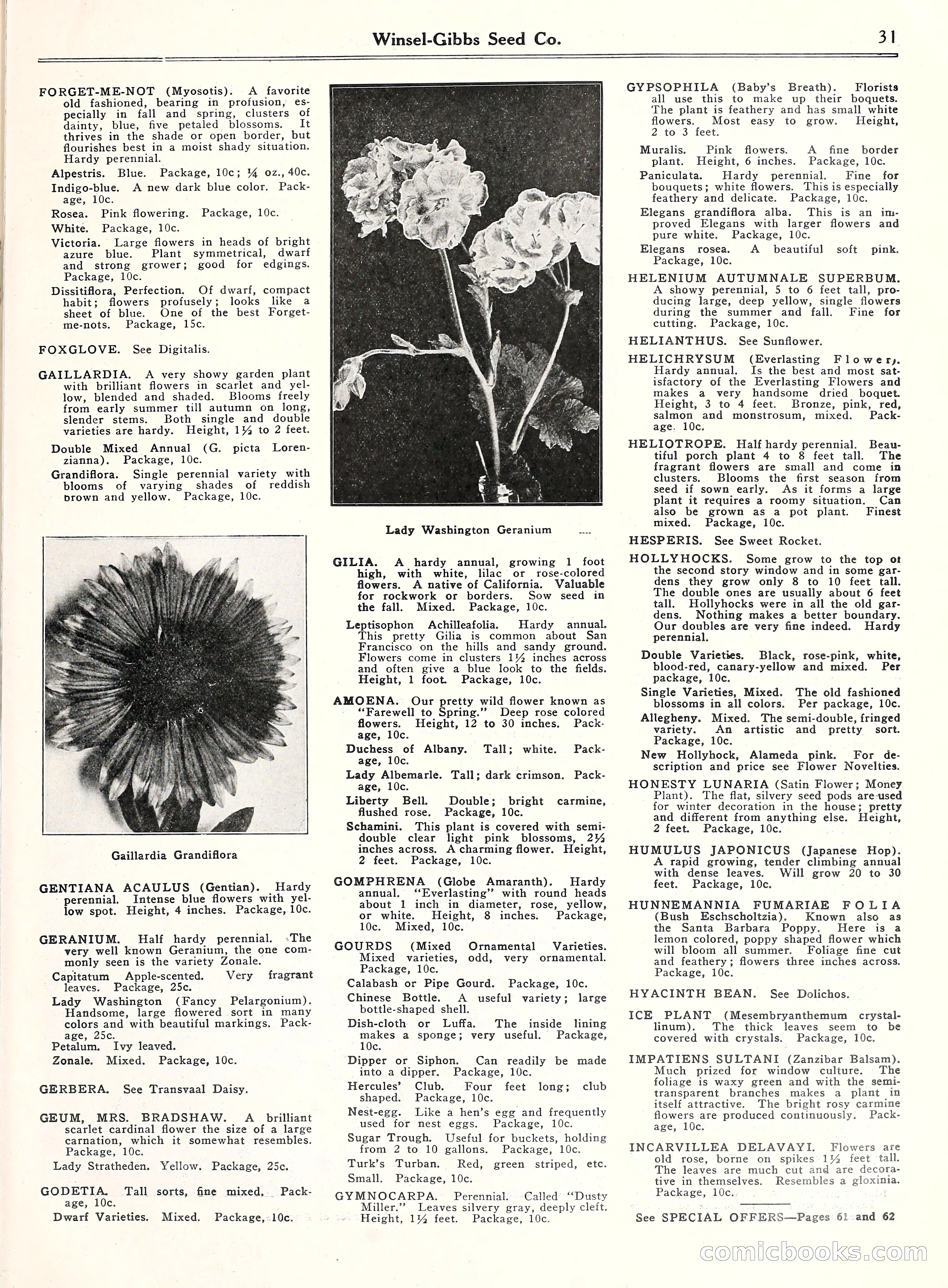 Blue Book of Gardening, 1929 — page 36 of 72