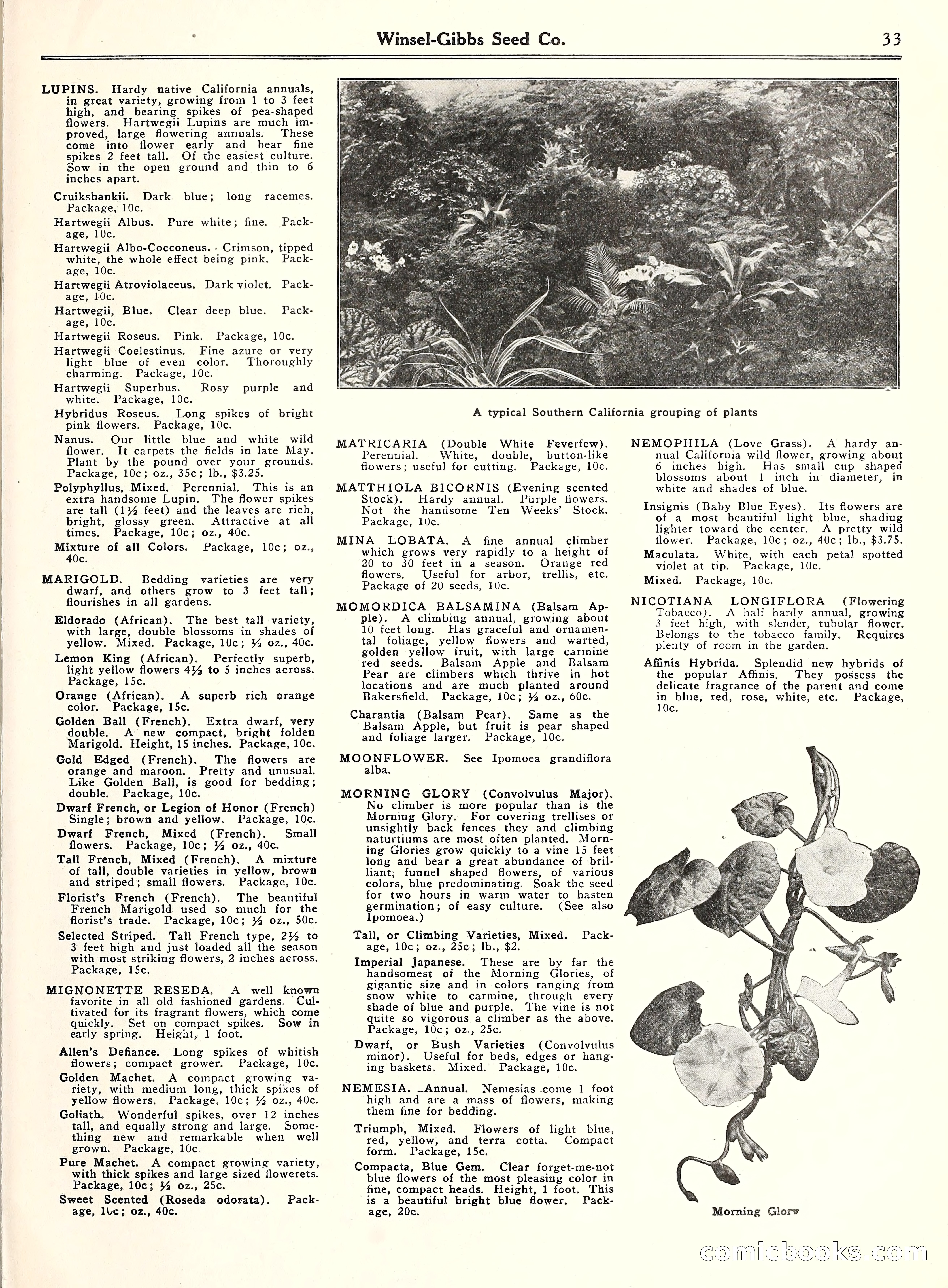 Blue Book of Gardening, 1929 — page 38 of 72