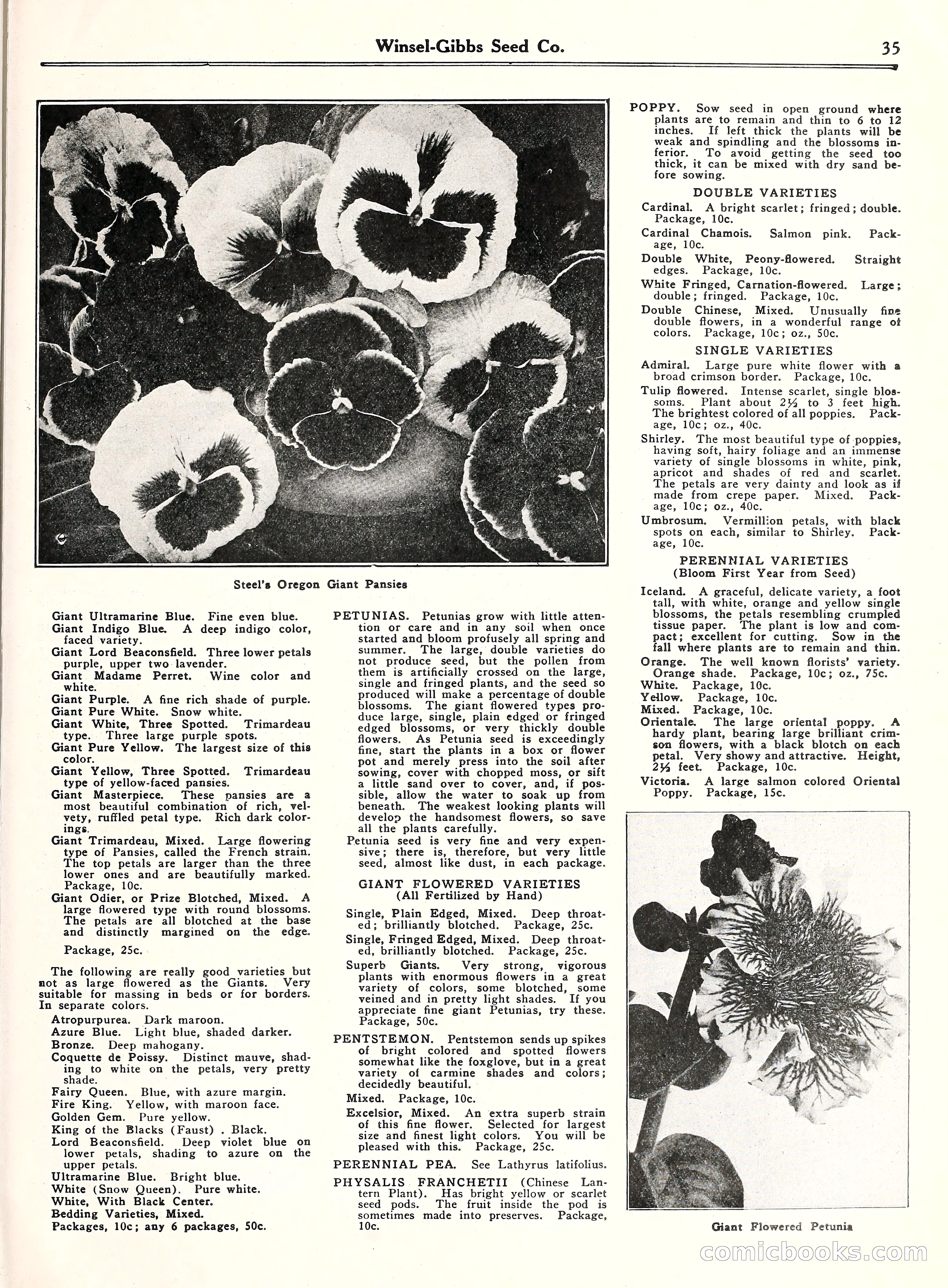 Blue Book of Gardening, 1929 — page 40 of 72