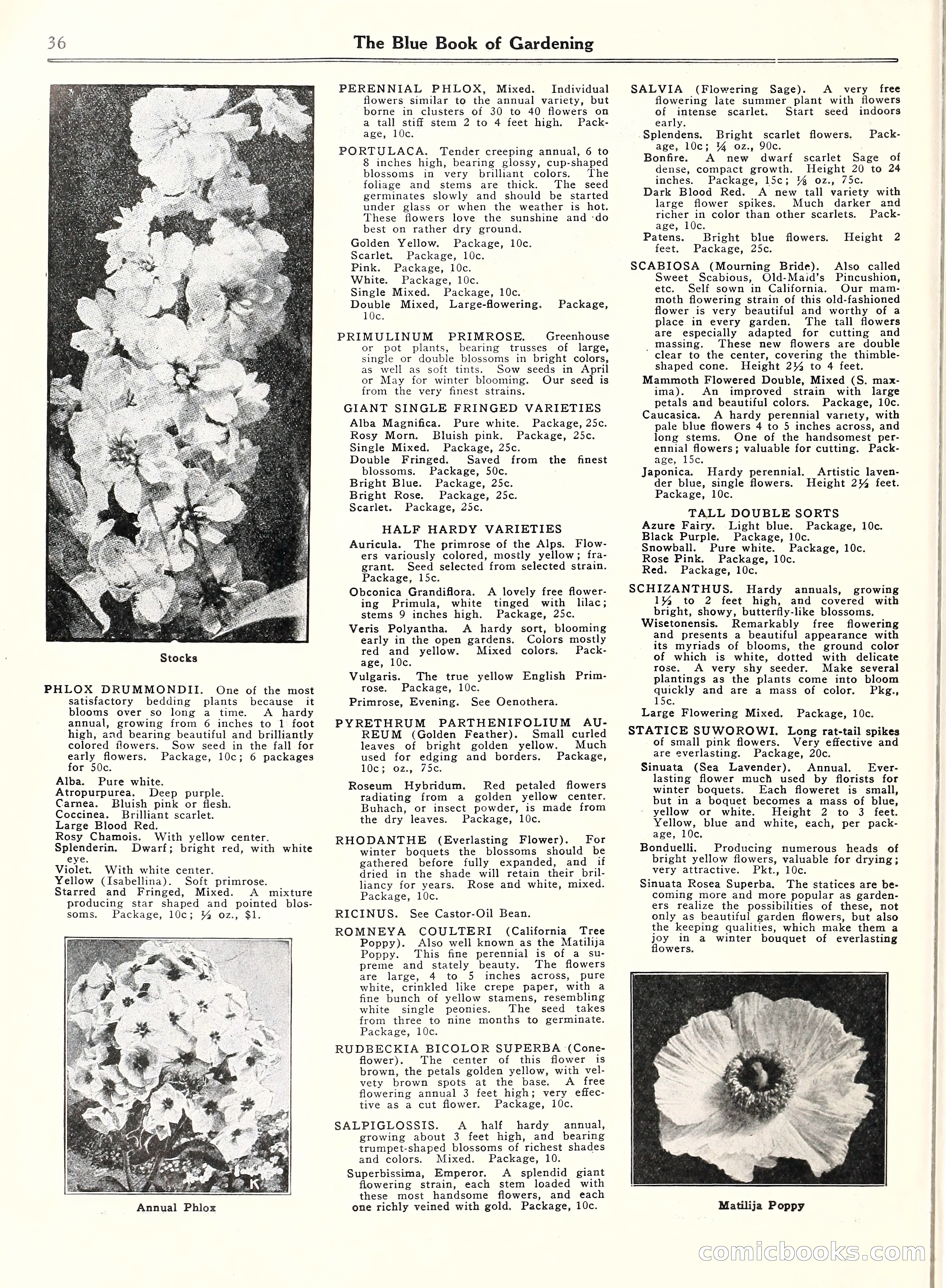 Blue Book of Gardening, 1929 — page 41 of 72