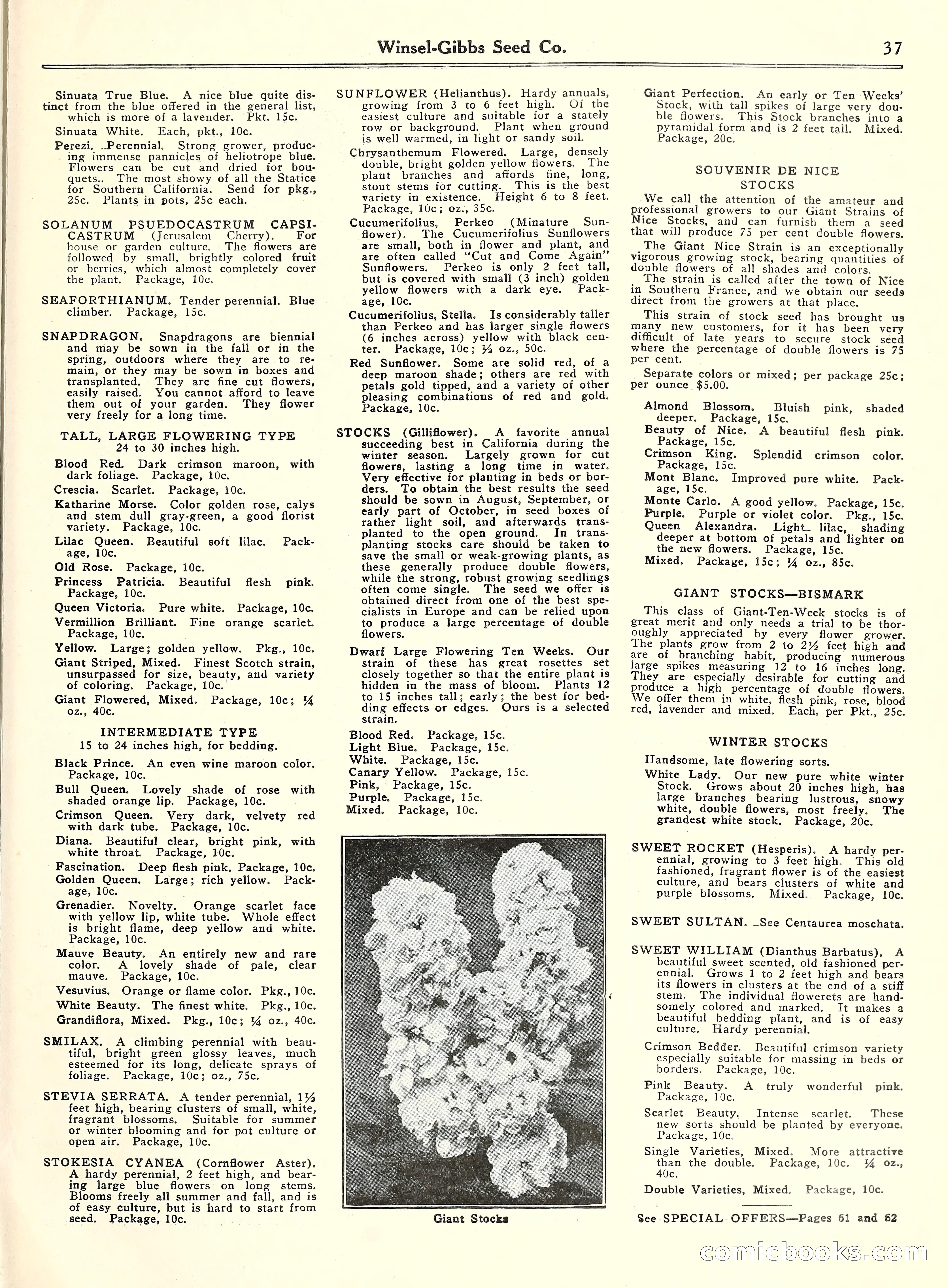 Blue Book of Gardening, 1929 — page 42 of 72