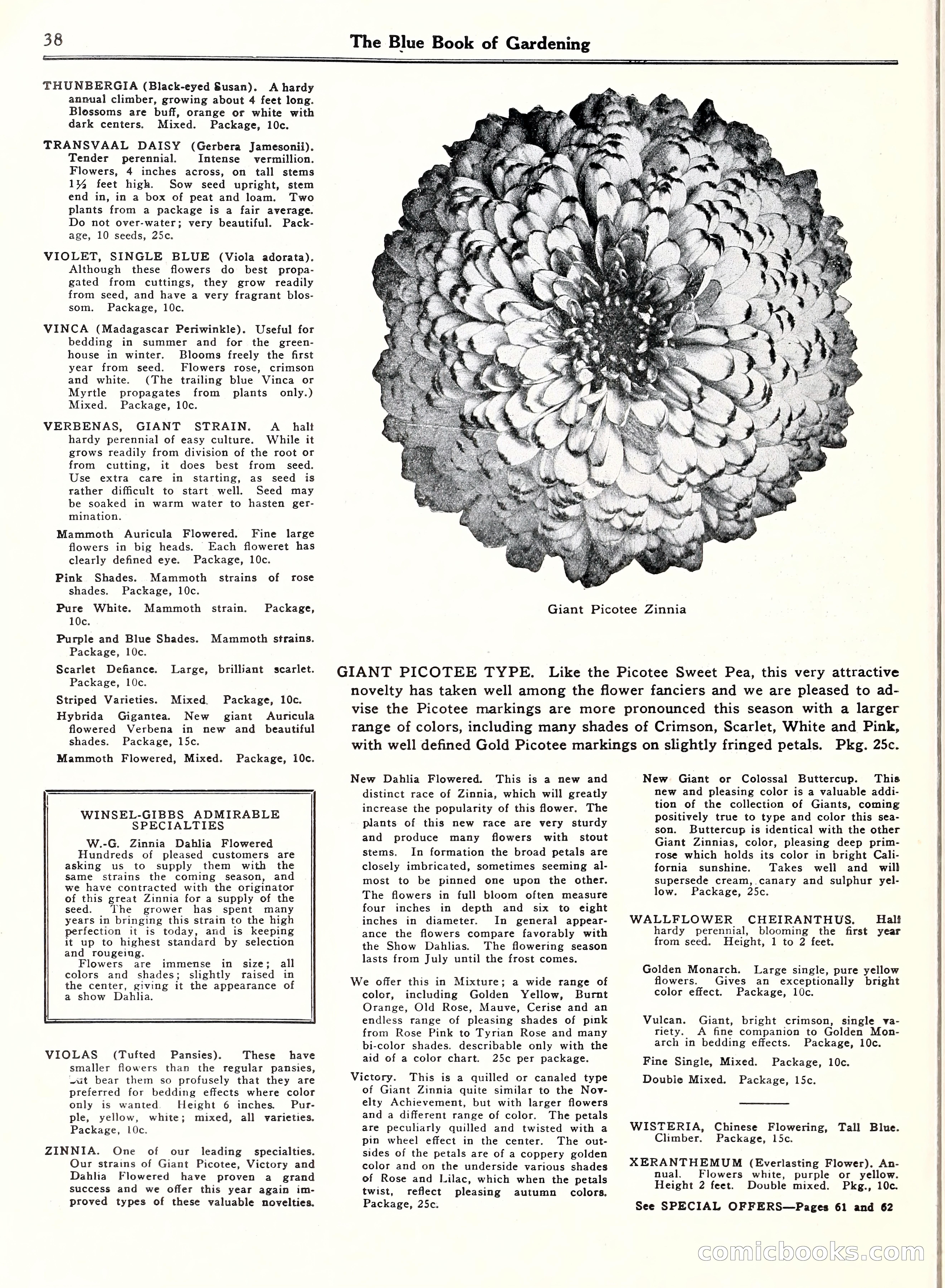 Blue Book of Gardening, 1929 — page 43 of 72