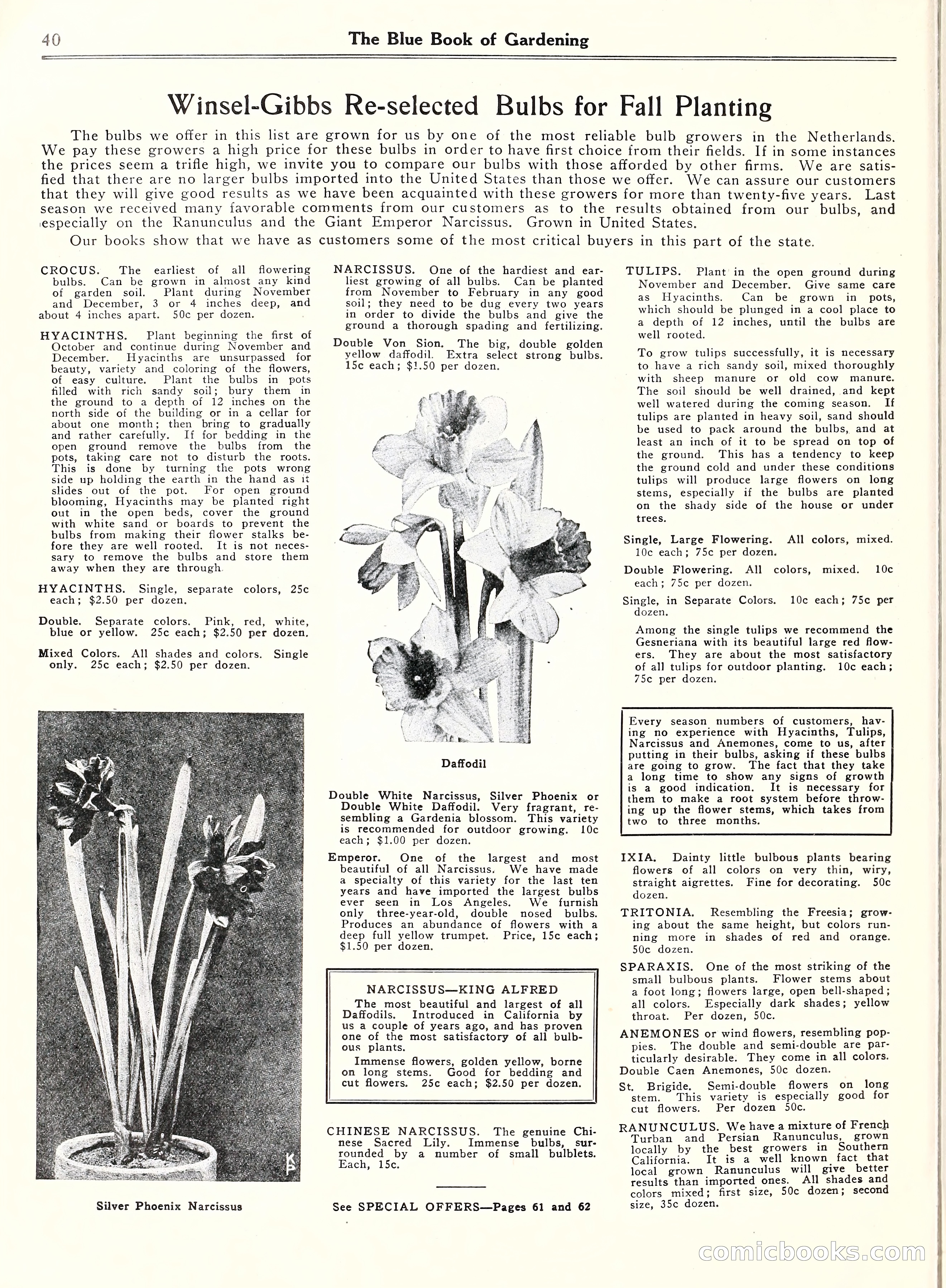 Blue Book of Gardening, 1929 — page 45 of 72