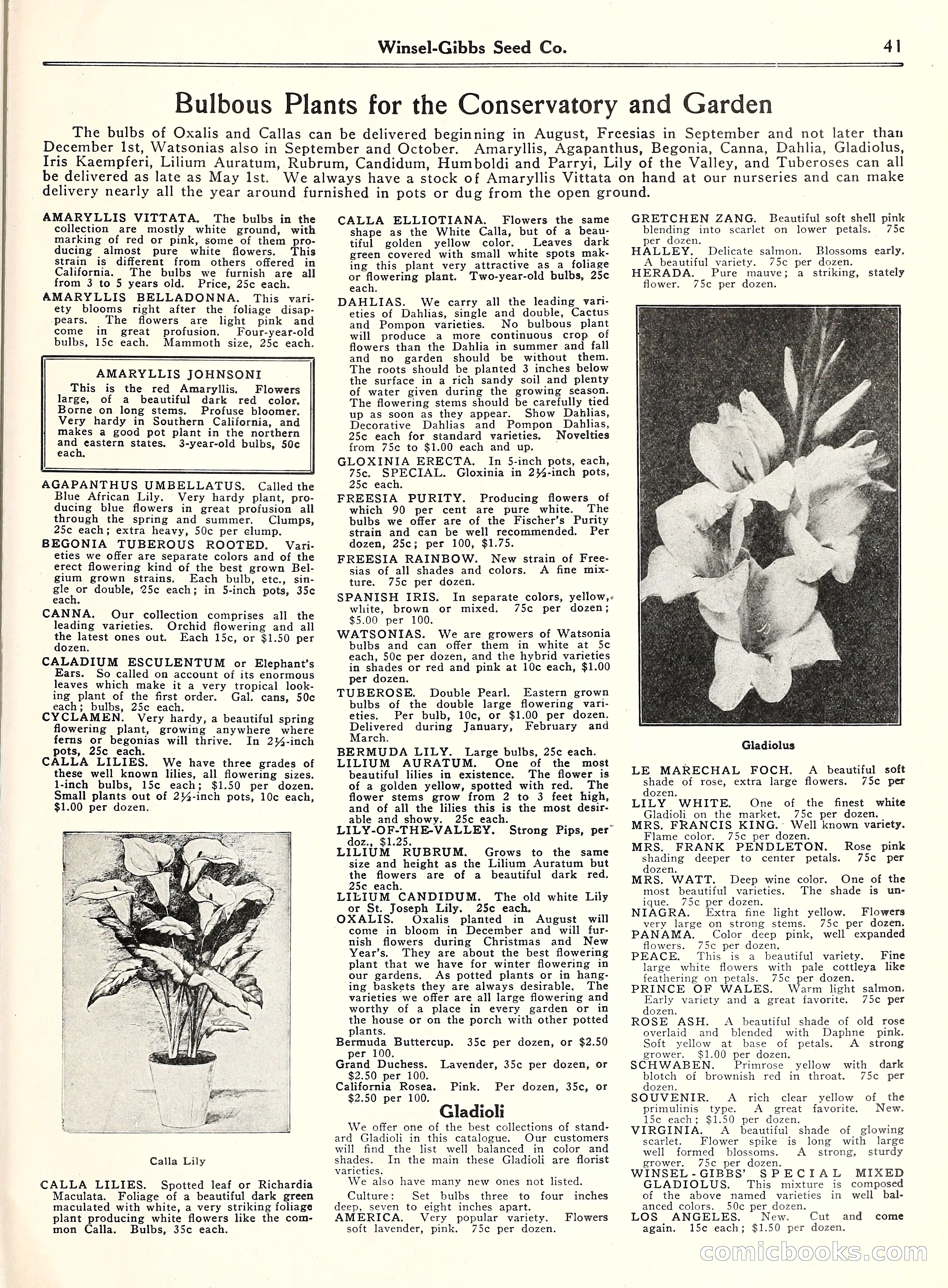 Blue Book of Gardening, 1929 — page 46 of 72