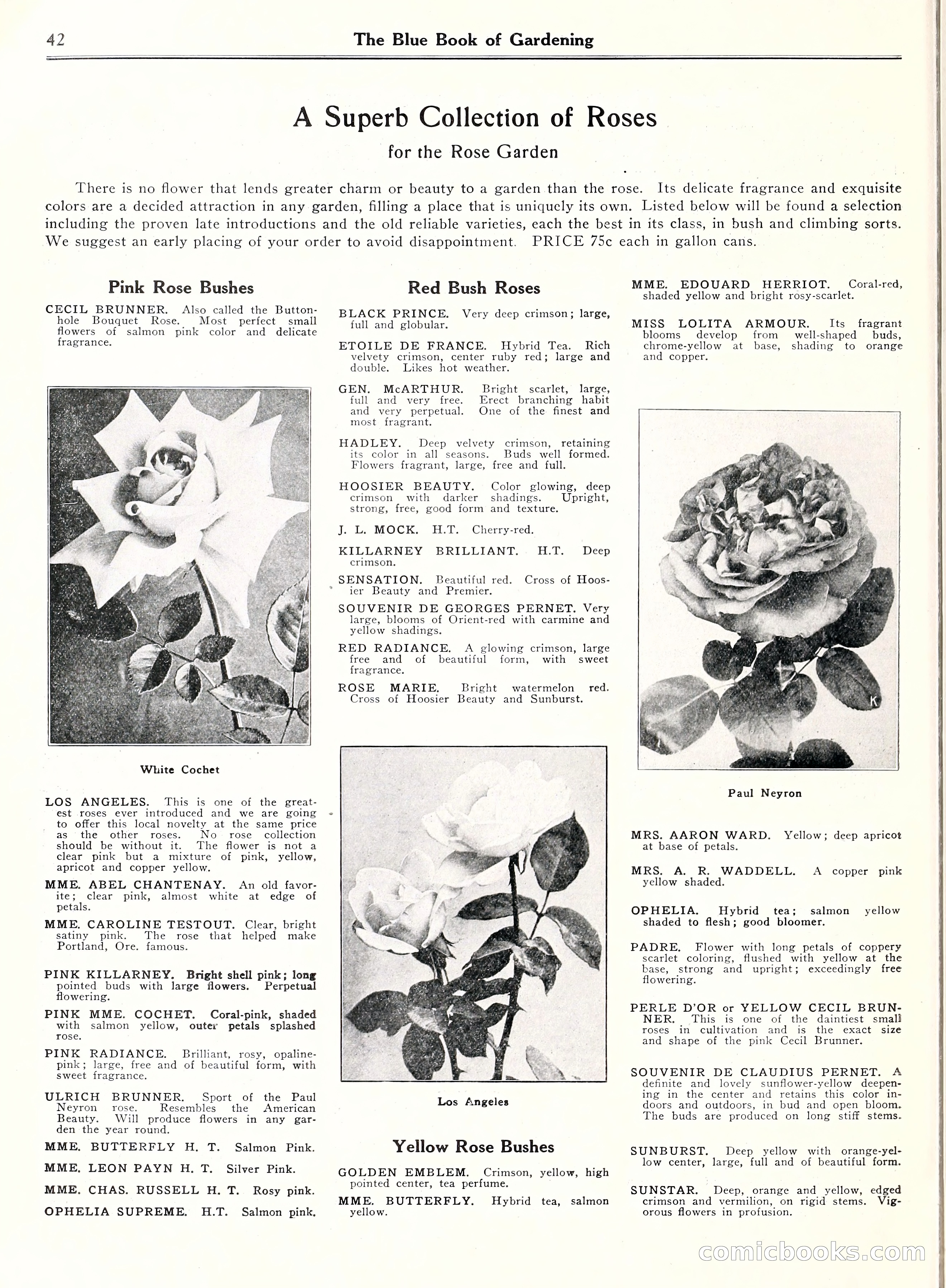 Blue Book of Gardening, 1929 — page 47 of 72