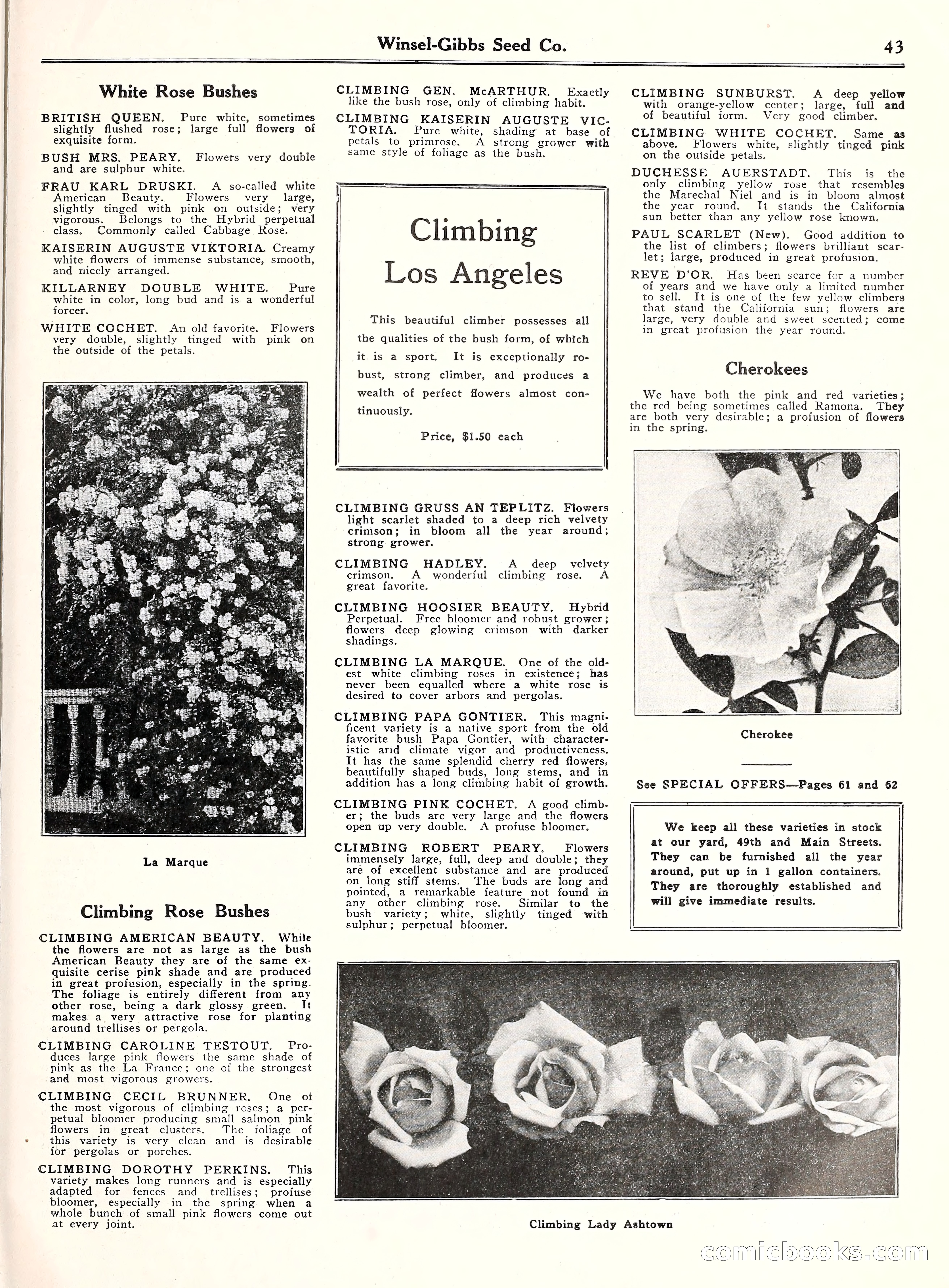 Blue Book of Gardening, 1929 — page 48 of 72