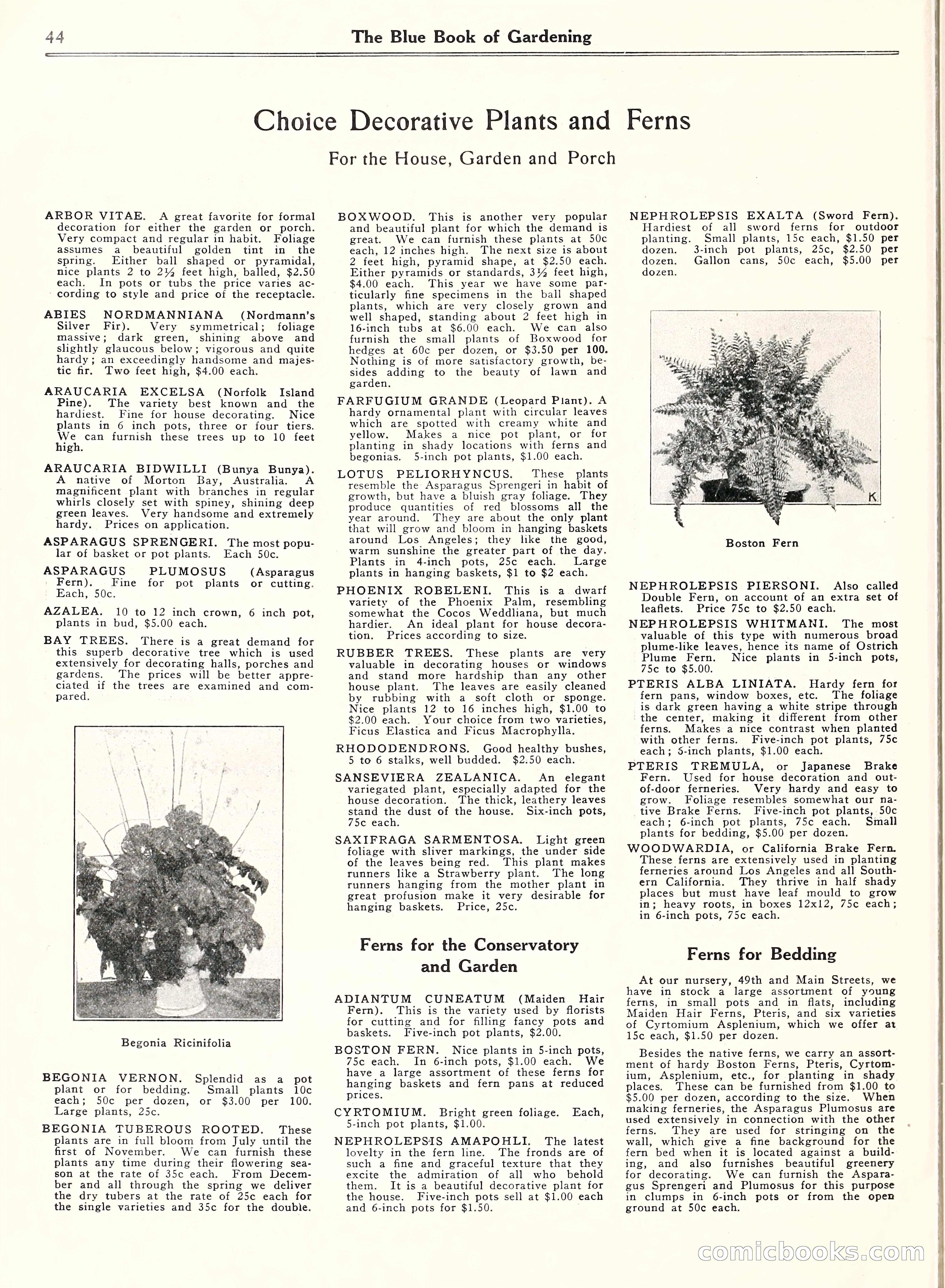 Blue Book of Gardening, 1929 — page 49 of 72