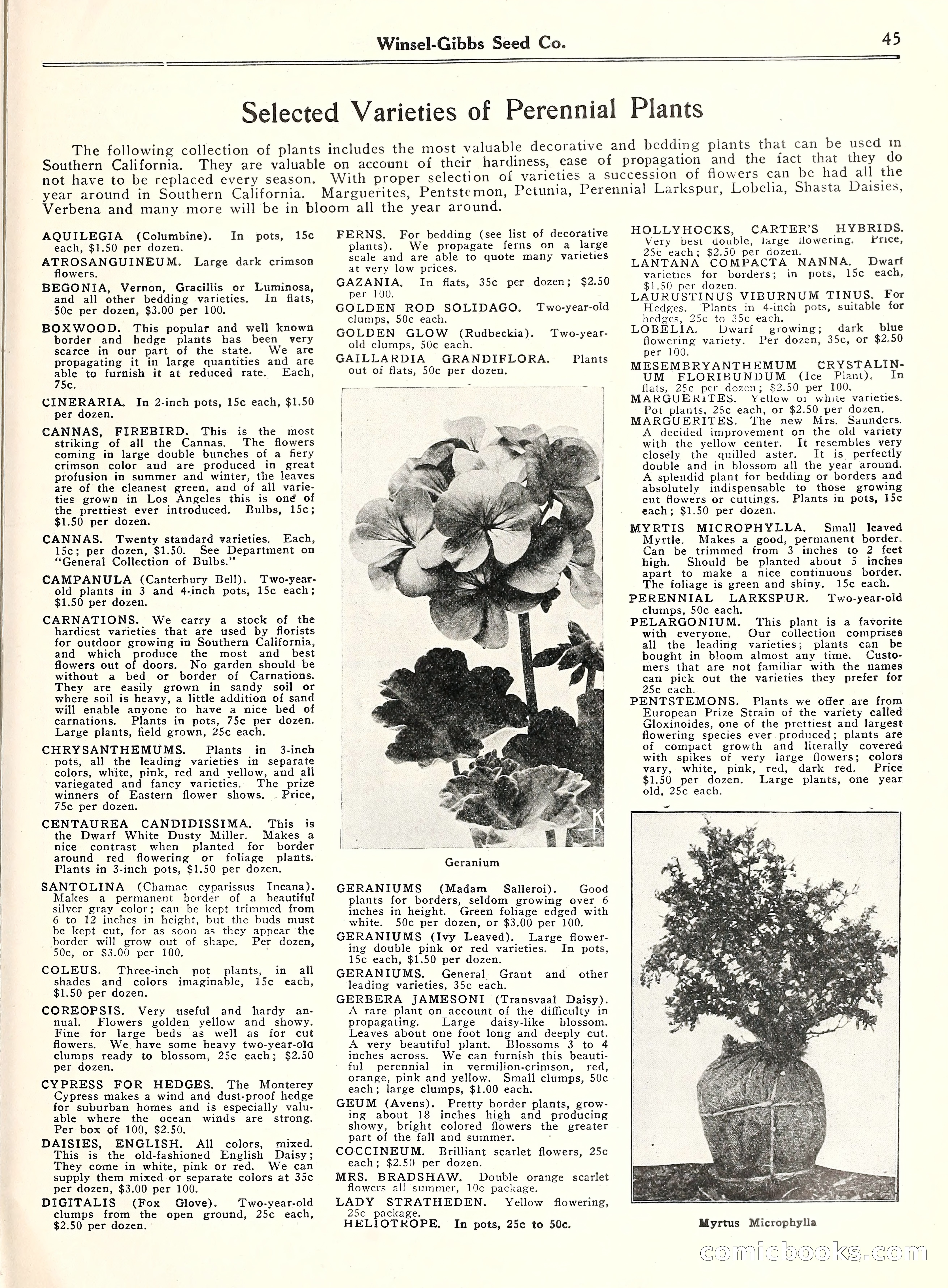 Blue Book of Gardening, 1929 — page 50 of 72