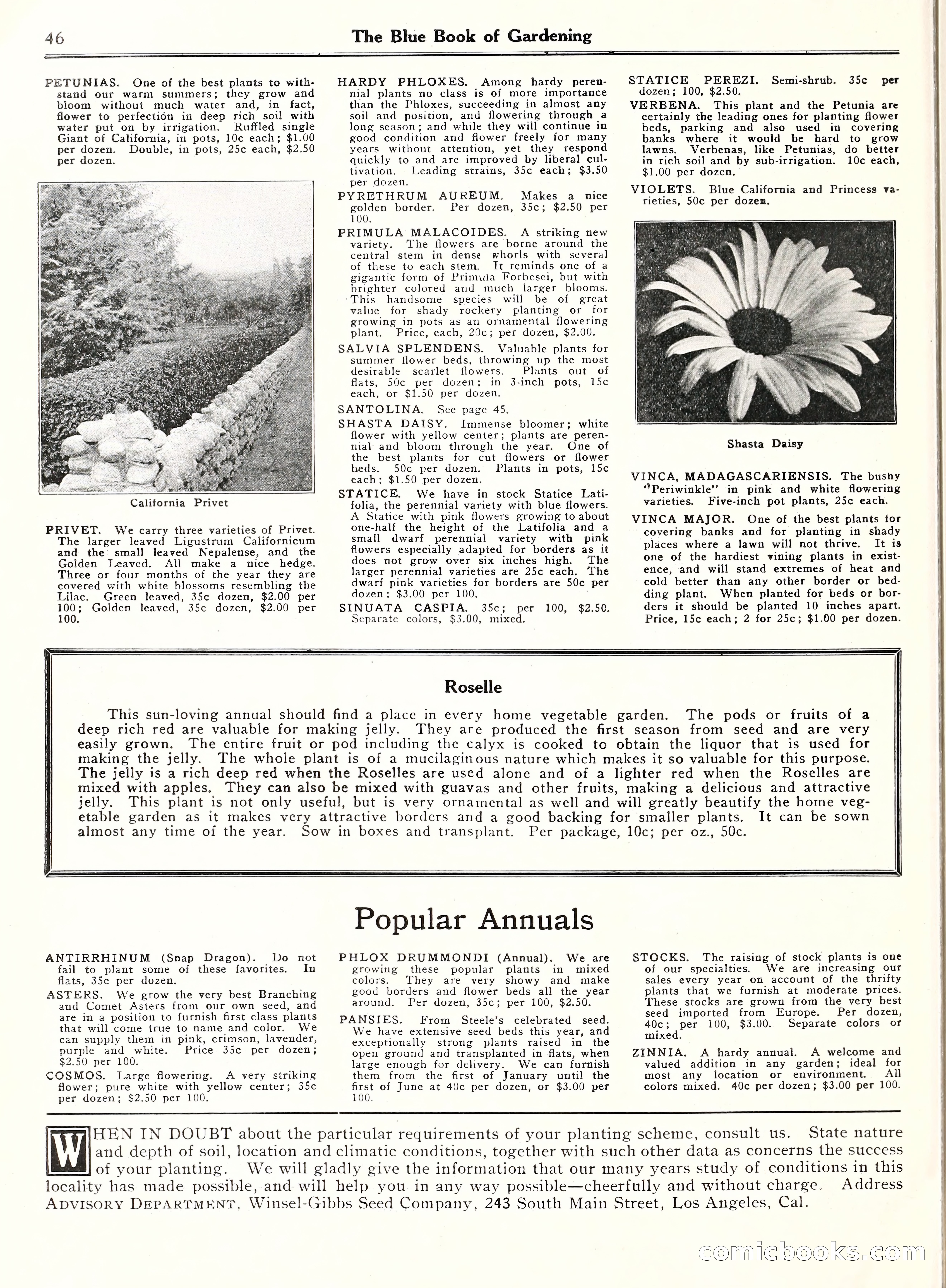 Blue Book of Gardening, 1929 — page 51 of 72