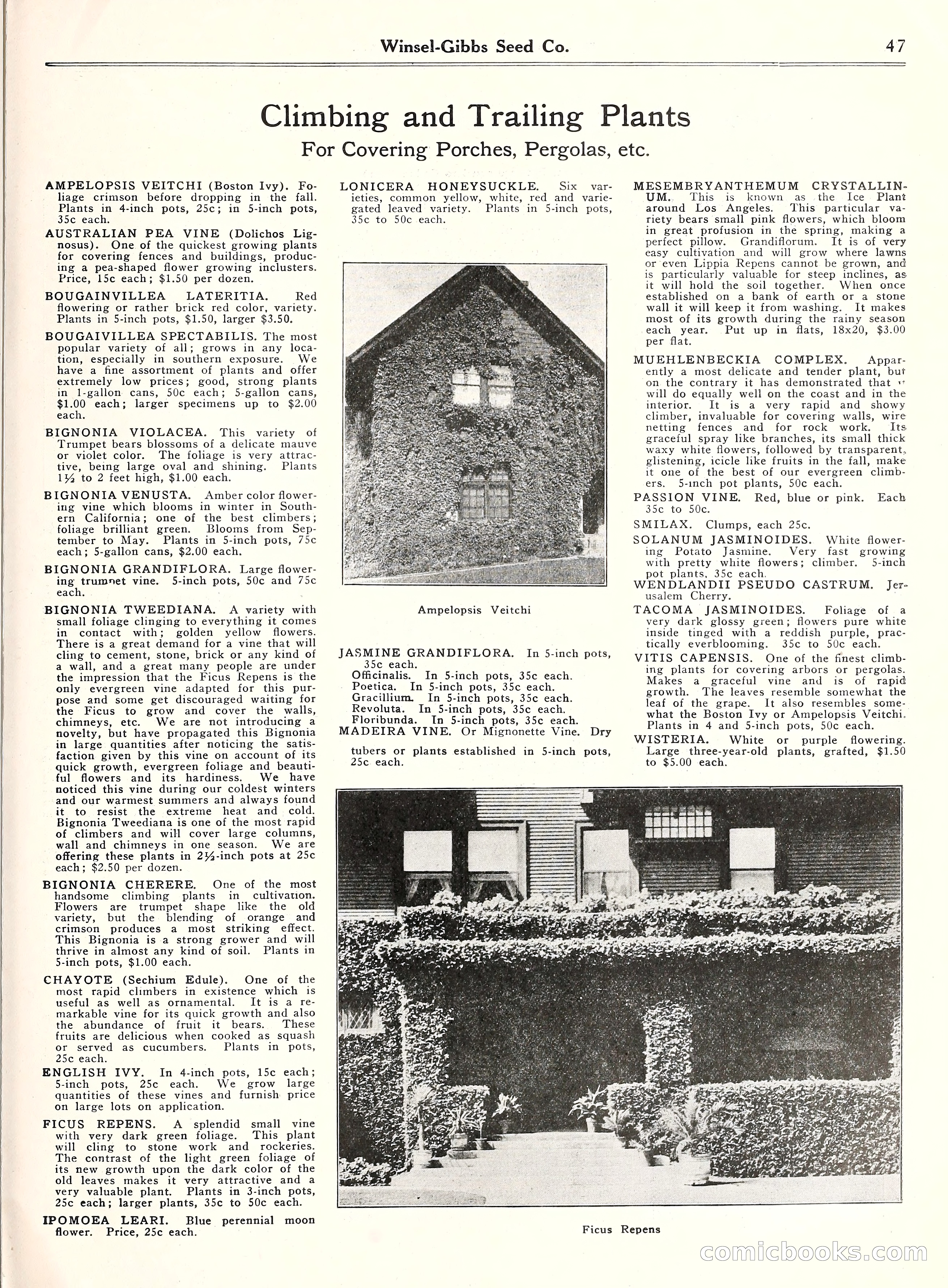 Blue Book of Gardening, 1929 — page 52 of 72