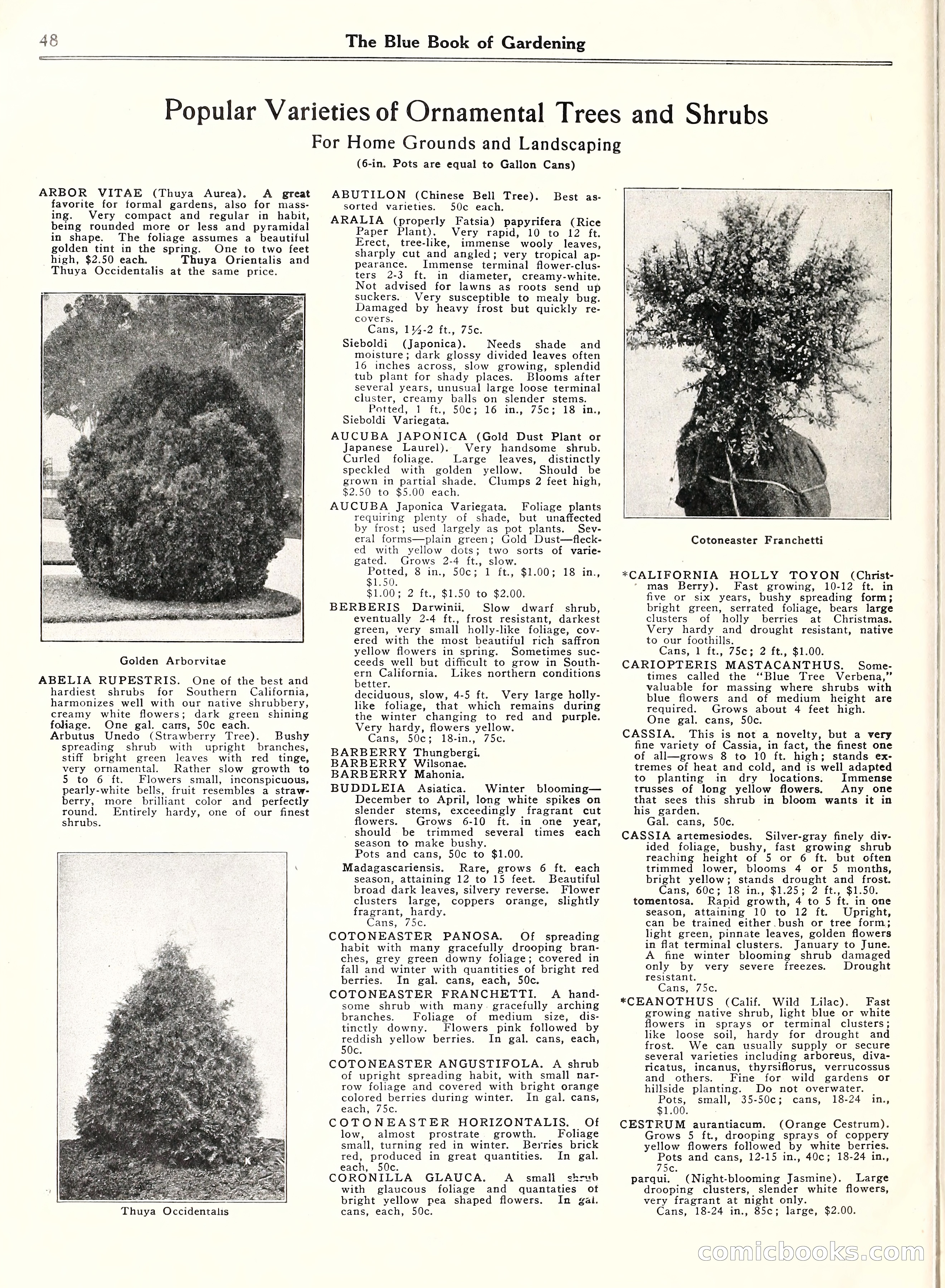Blue Book of Gardening, 1929 — page 53 of 72