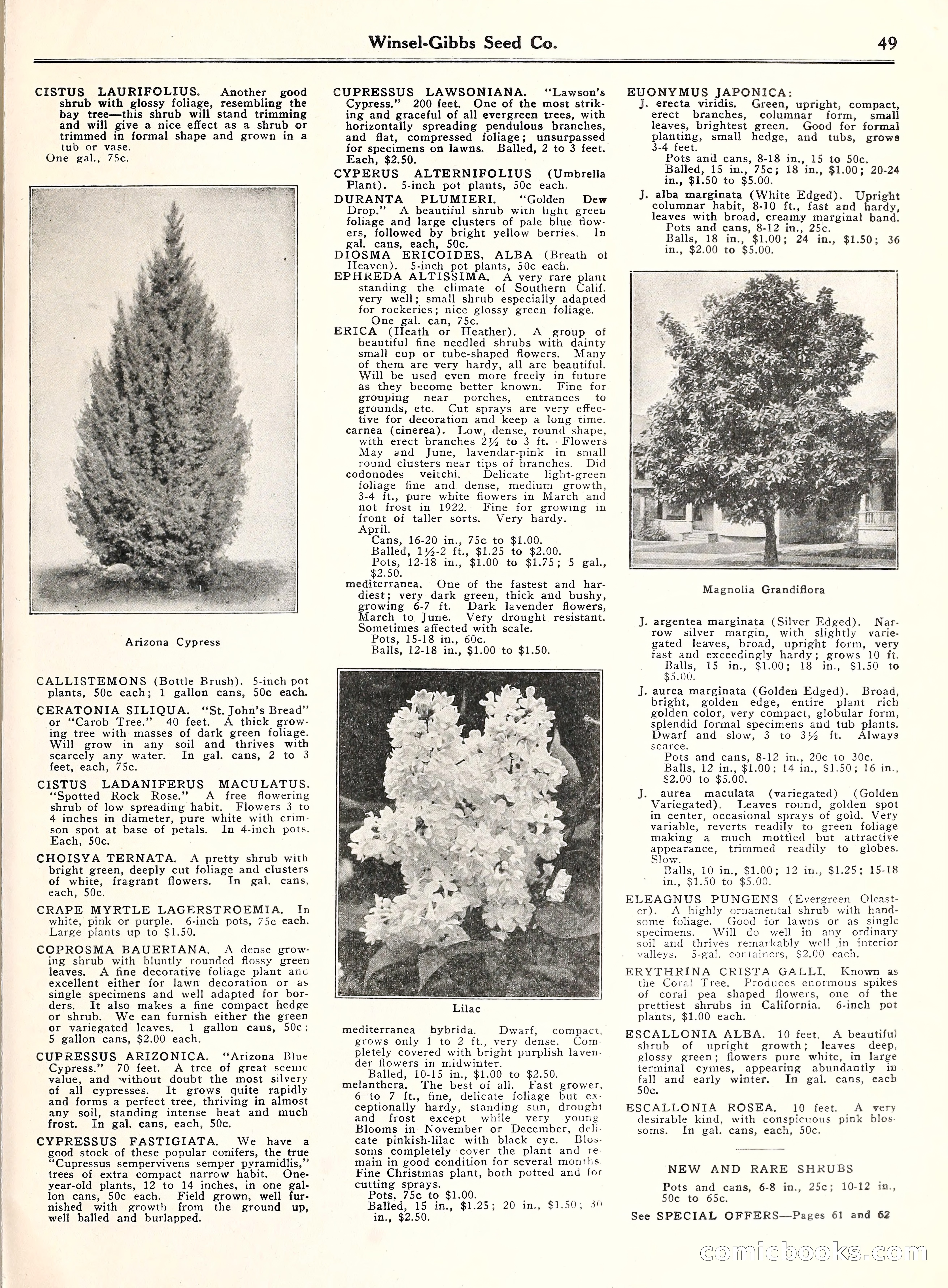 Blue Book of Gardening, 1929 — page 54 of 72