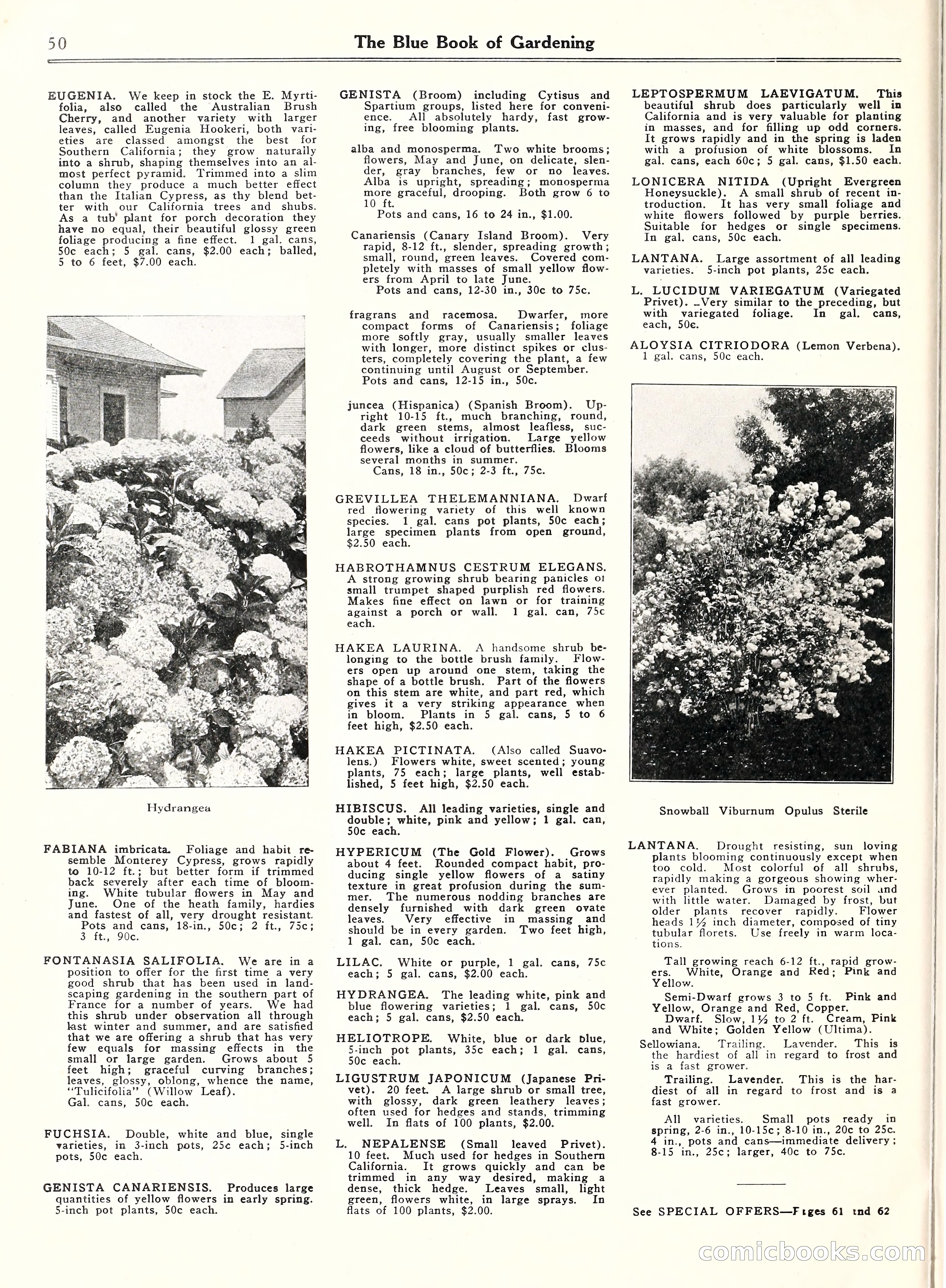 Blue Book of Gardening, 1929 — page 55 of 72