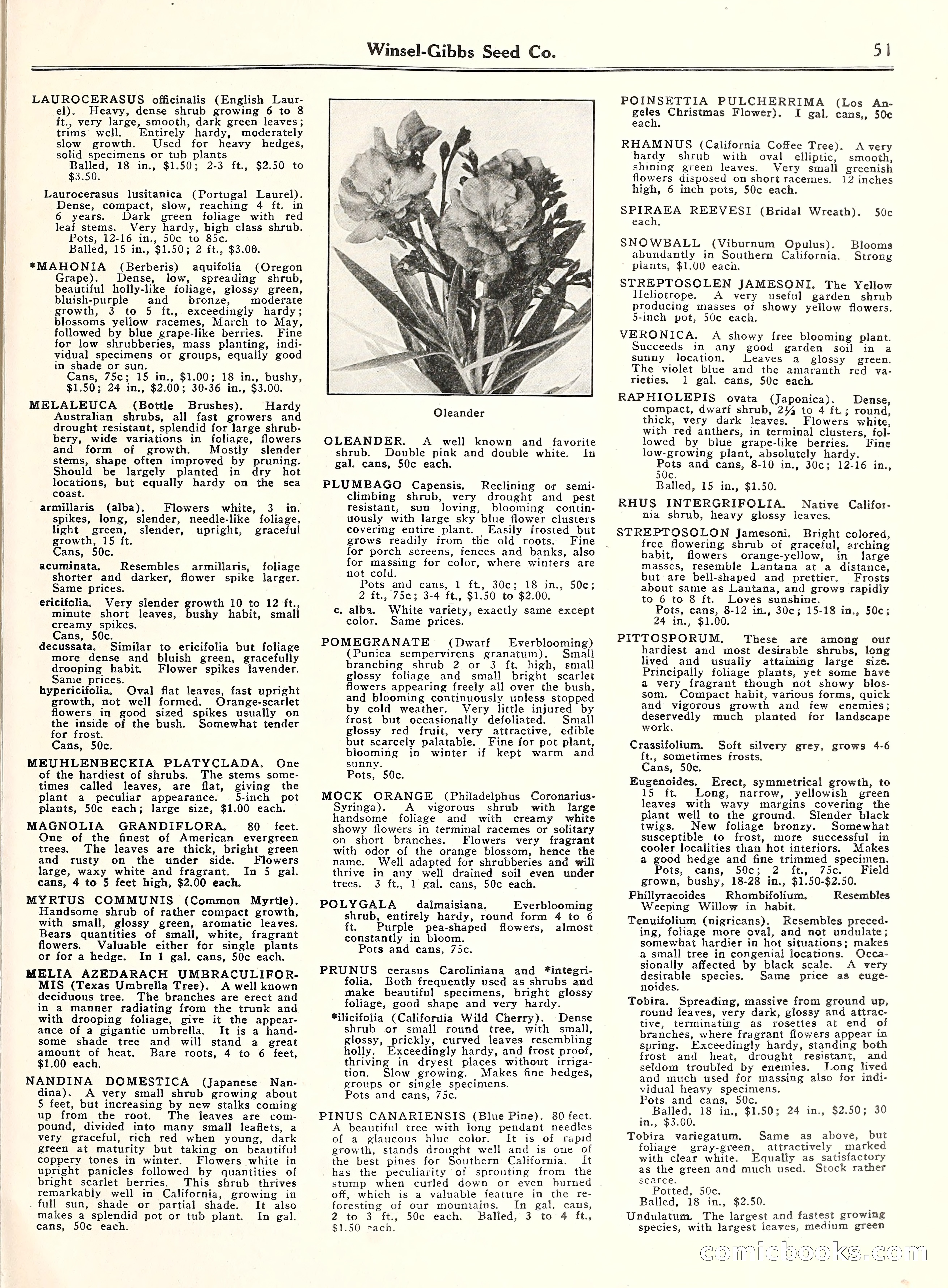 Blue Book of Gardening, 1929 — page 56 of 72