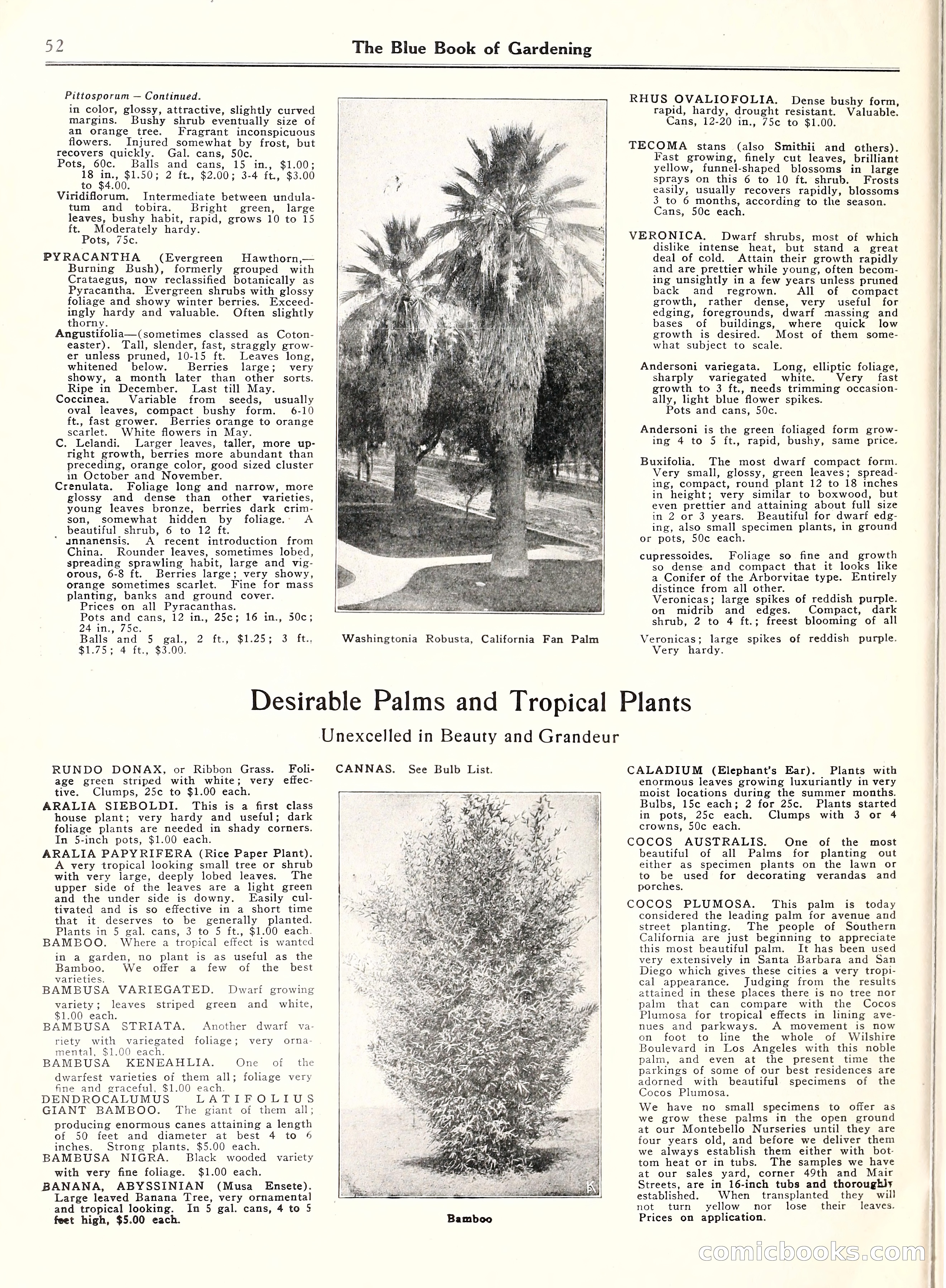 Blue Book of Gardening, 1929 — page 57 of 72