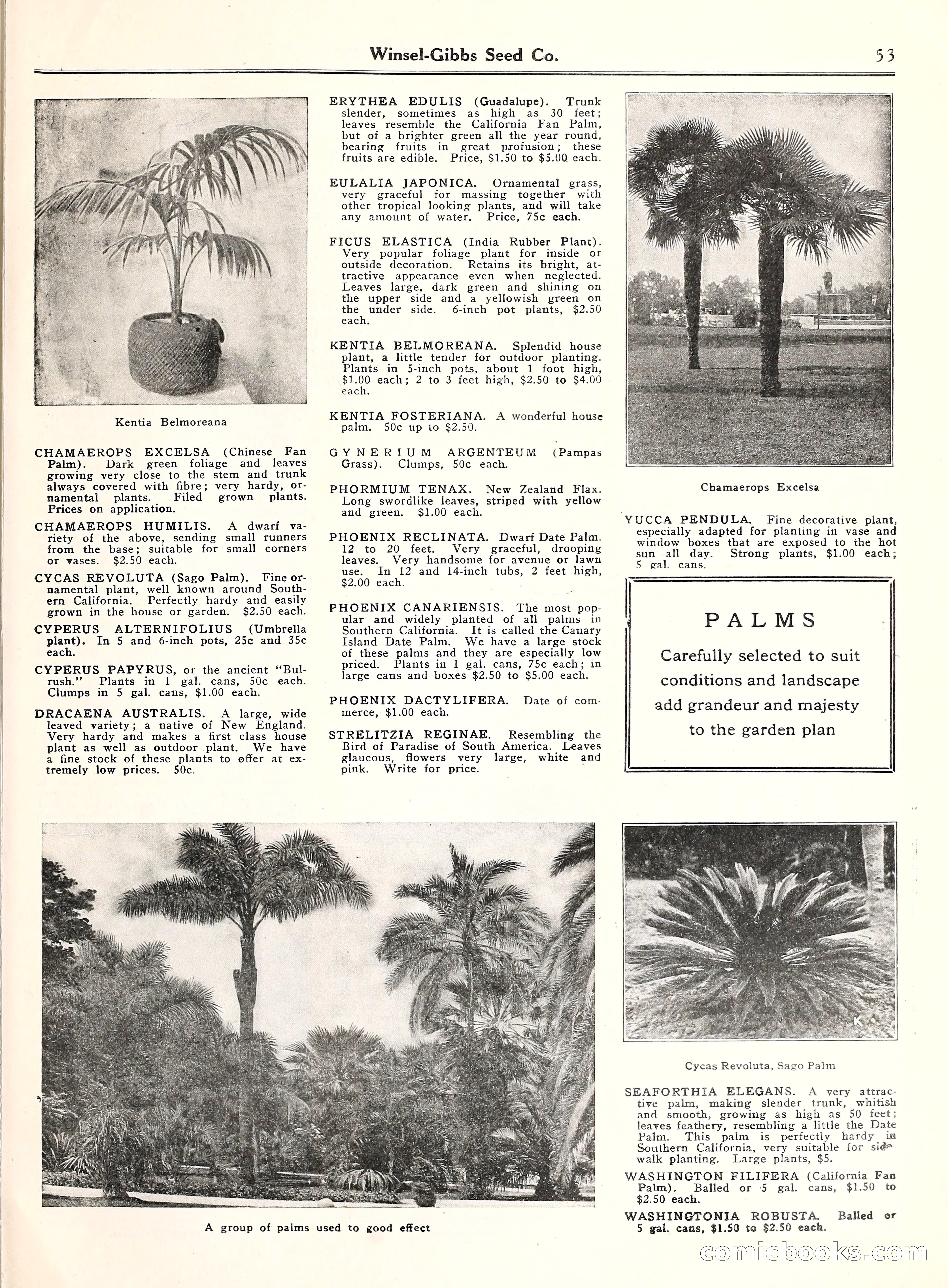 Blue Book of Gardening, 1929 — page 58 of 72