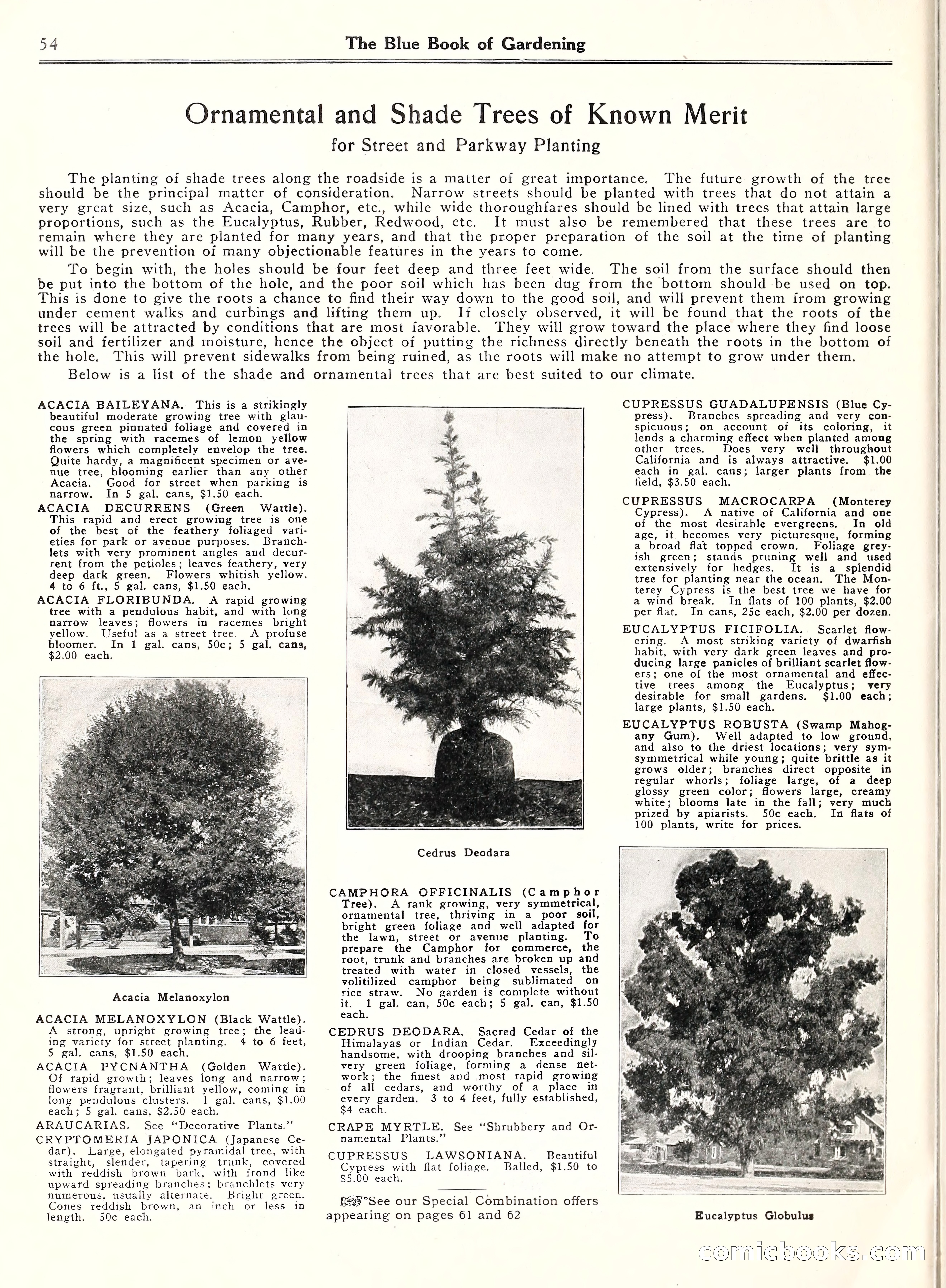 Blue Book of Gardening, 1929 — page 59 of 72