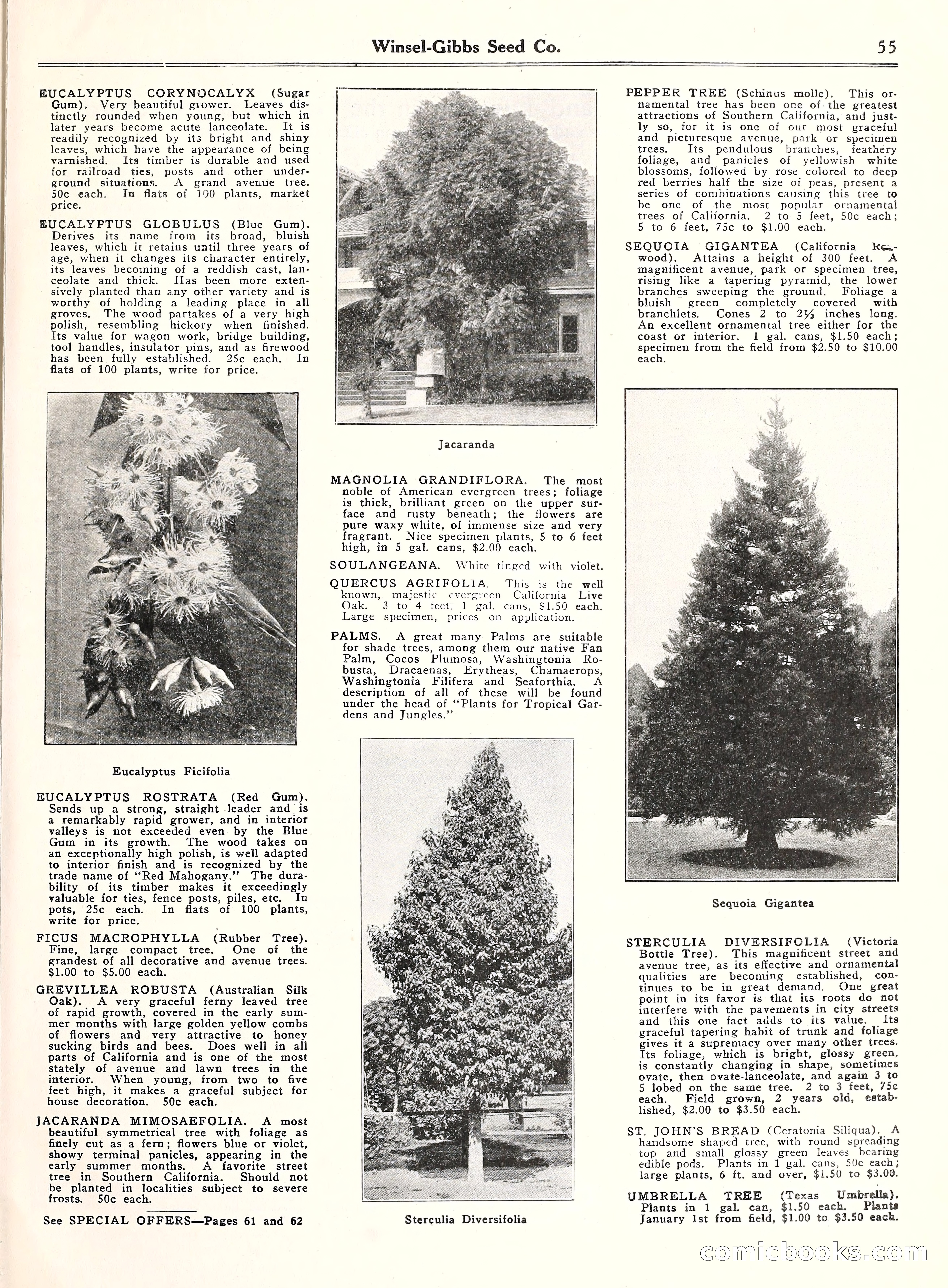 Blue Book of Gardening, 1929 — page 60 of 72