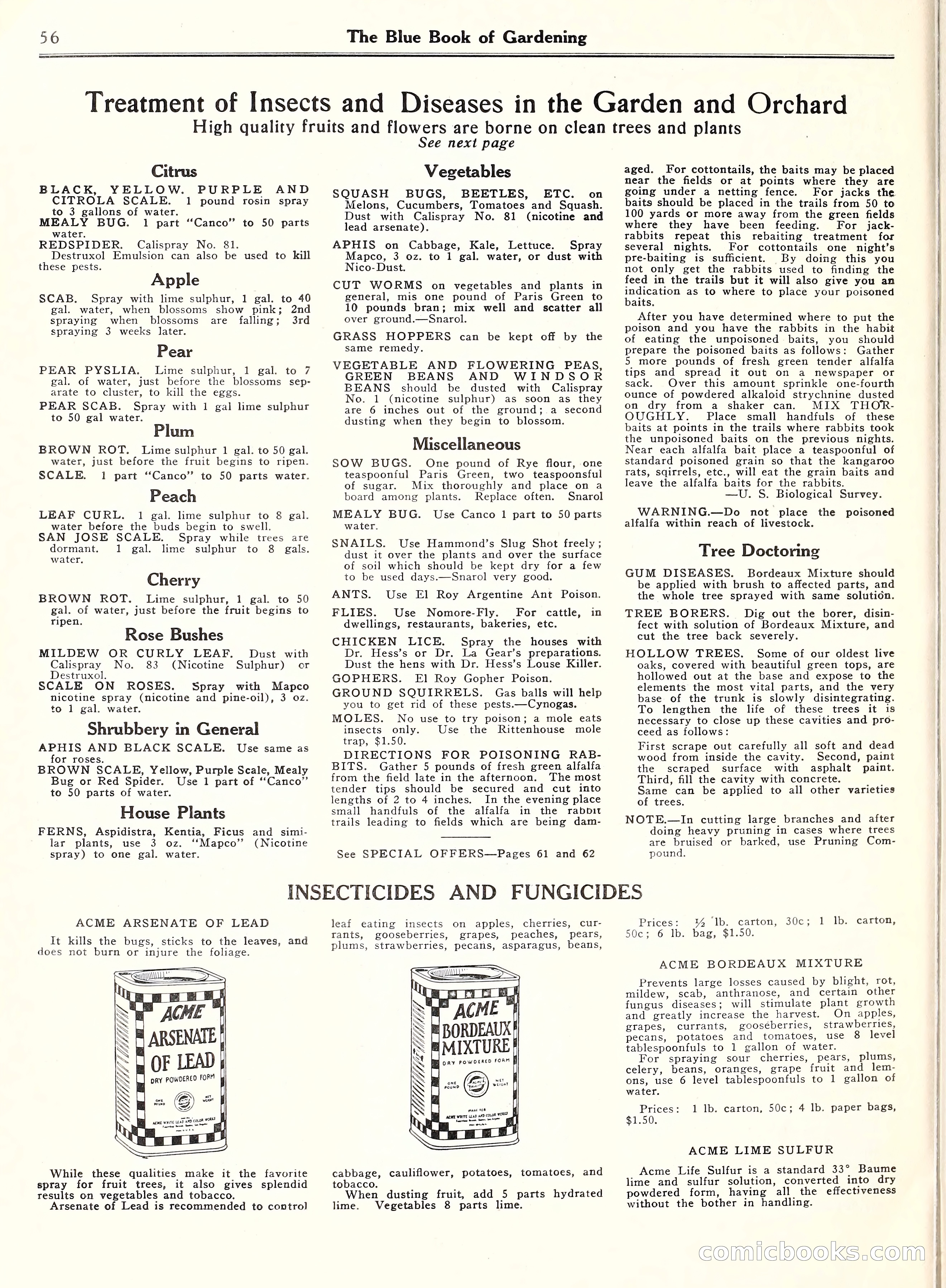 Blue Book of Gardening, 1929 — page 61 of 72