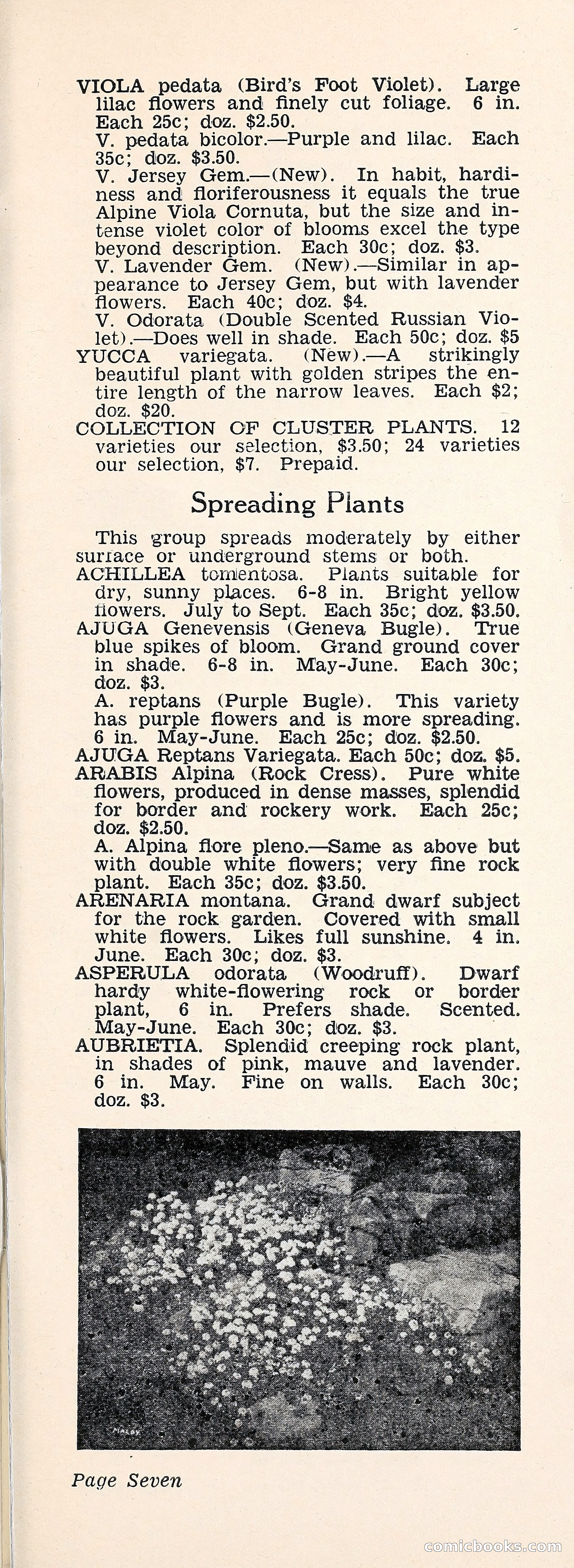 Crockett's Blue Book: Alpines, Perennials, Seeds, Bulbs — page 12 of 40