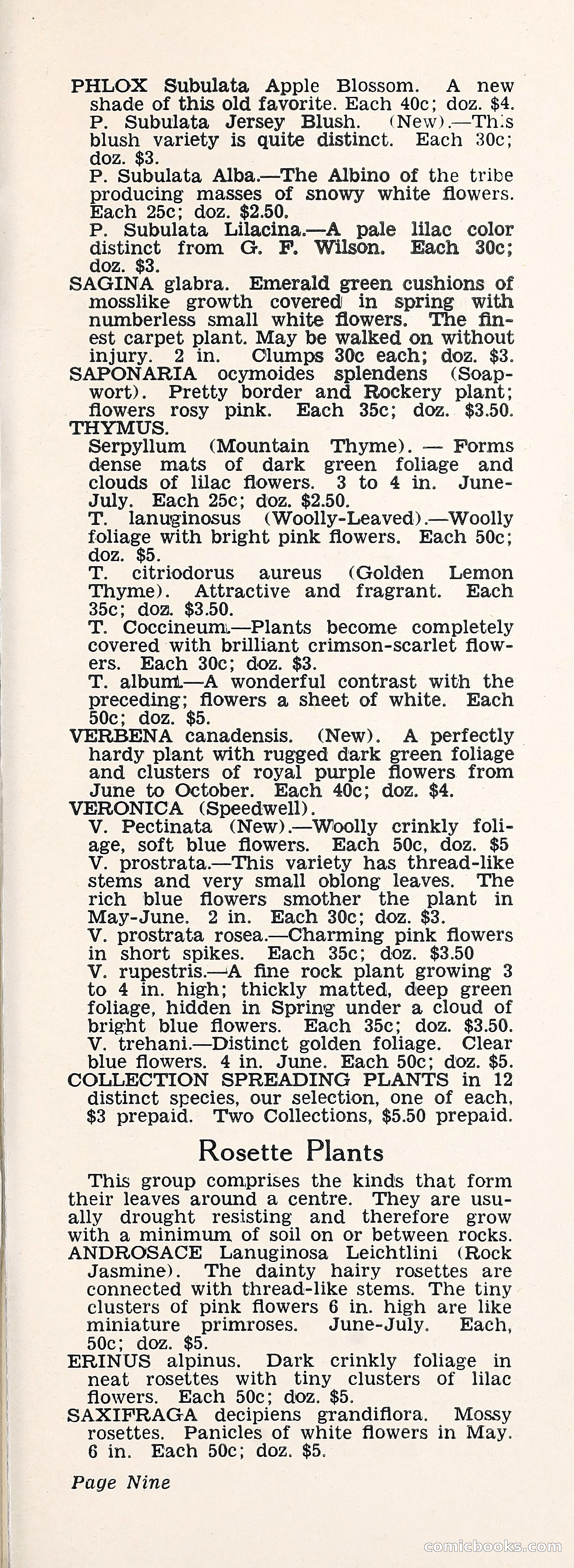 Crockett's Blue Book: Alpines, Perennials, Seeds, Bulbs — page 14 of 40