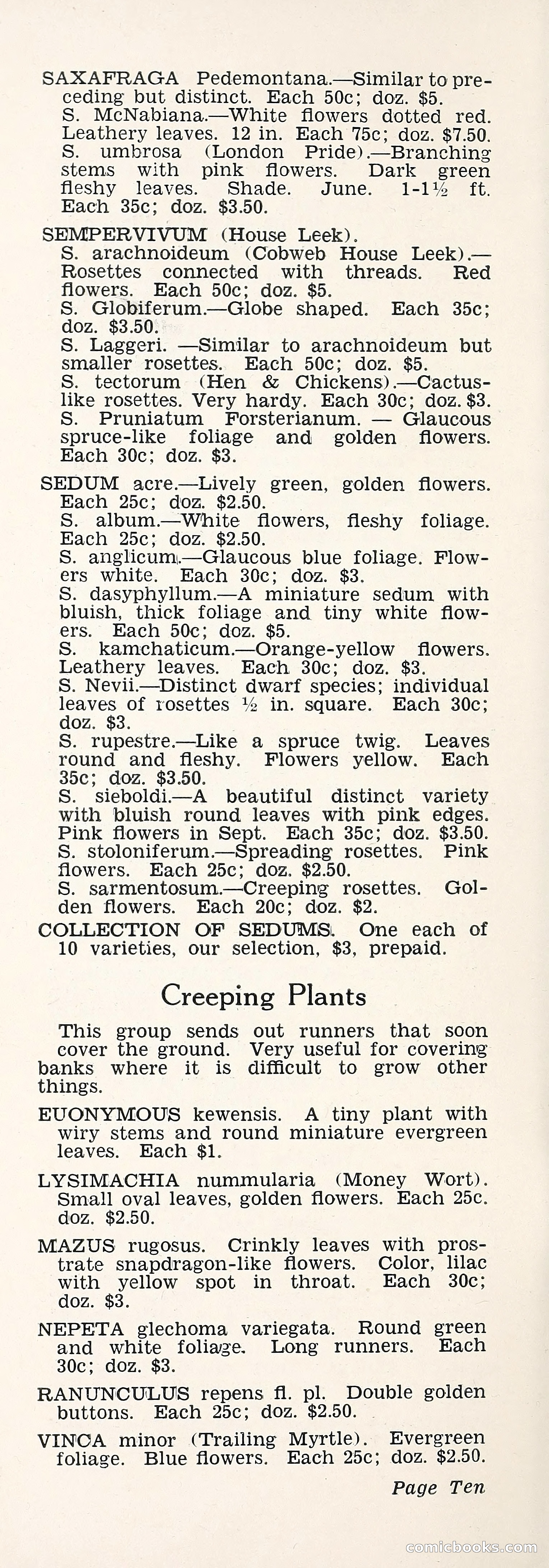 Crockett's Blue Book: Alpines, Perennials, Seeds, Bulbs — page 15 of 40
