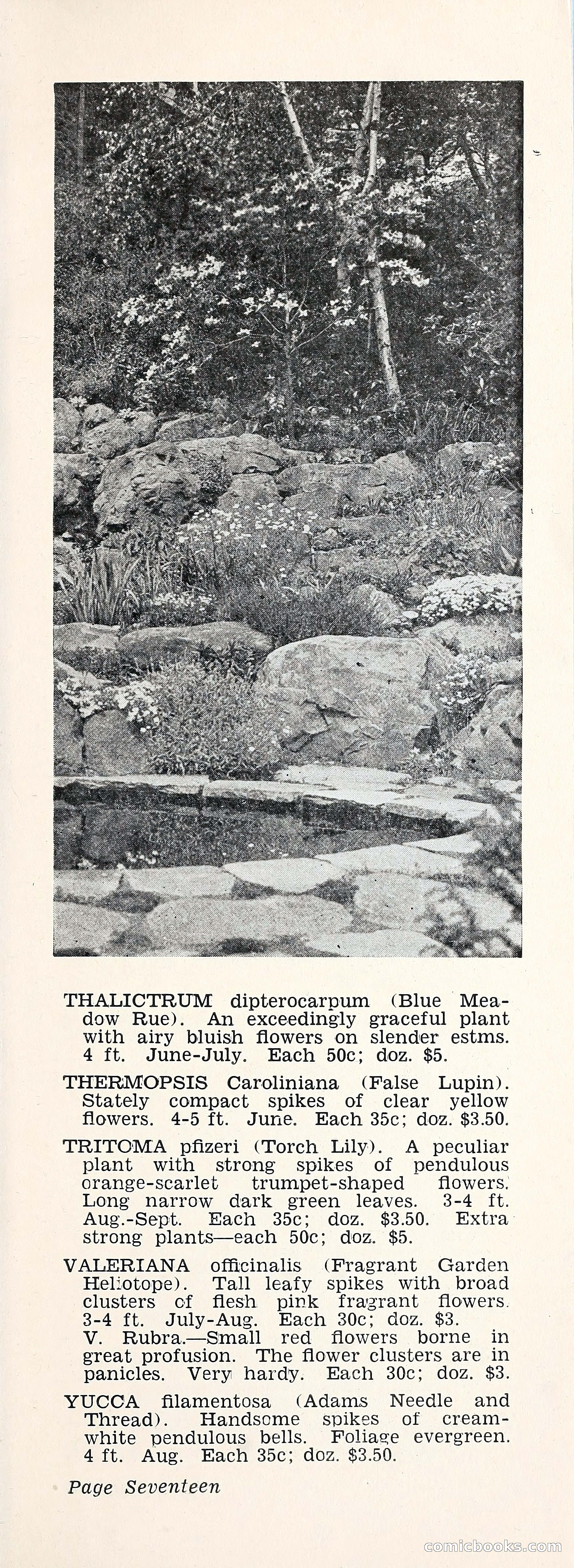 Crockett's Blue Book: Alpines, Perennials, Seeds, Bulbs — page 22 of 40