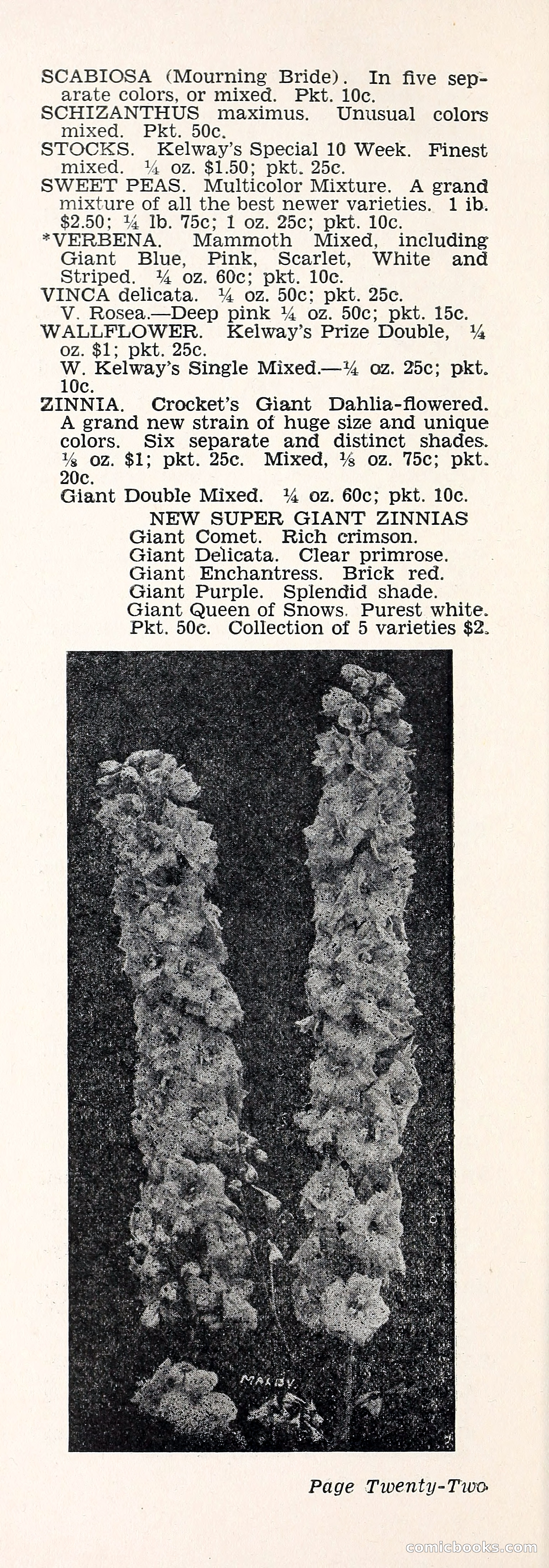 Crockett's Blue Book: Alpines, Perennials, Seeds, Bulbs — page 27 of 40