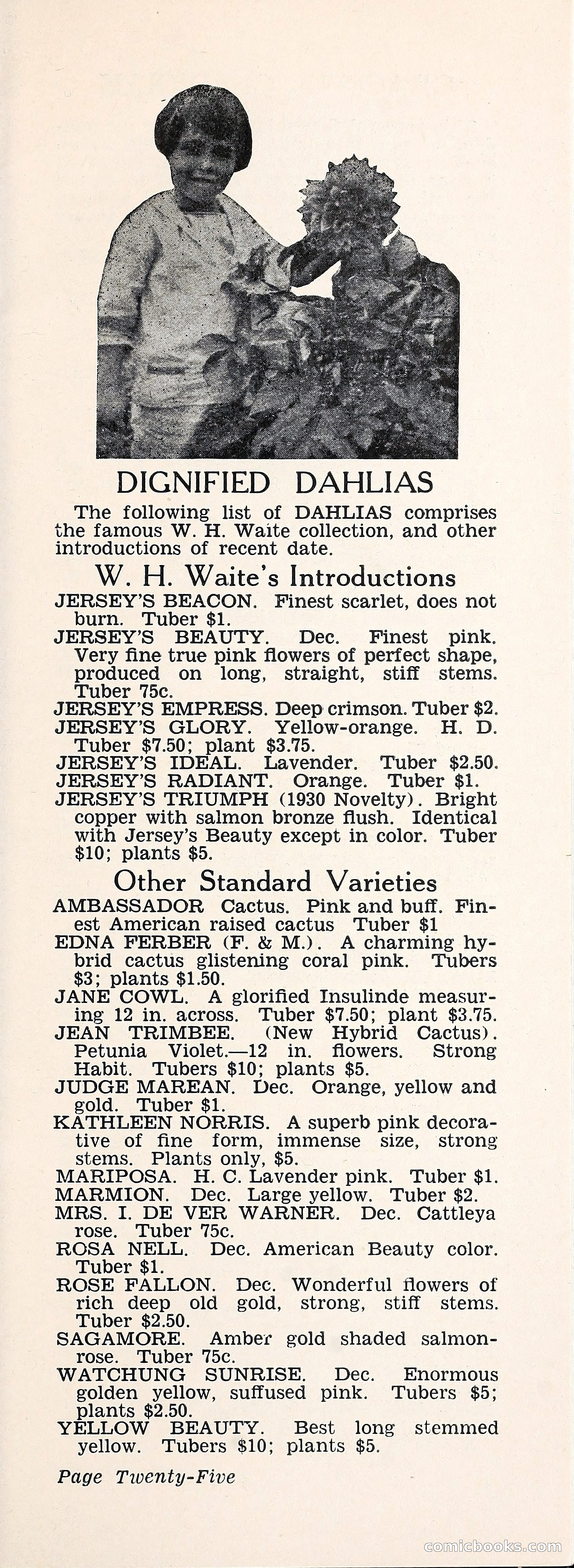 Crockett's Blue Book: Alpines, Perennials, Seeds, Bulbs — page 30 of 40