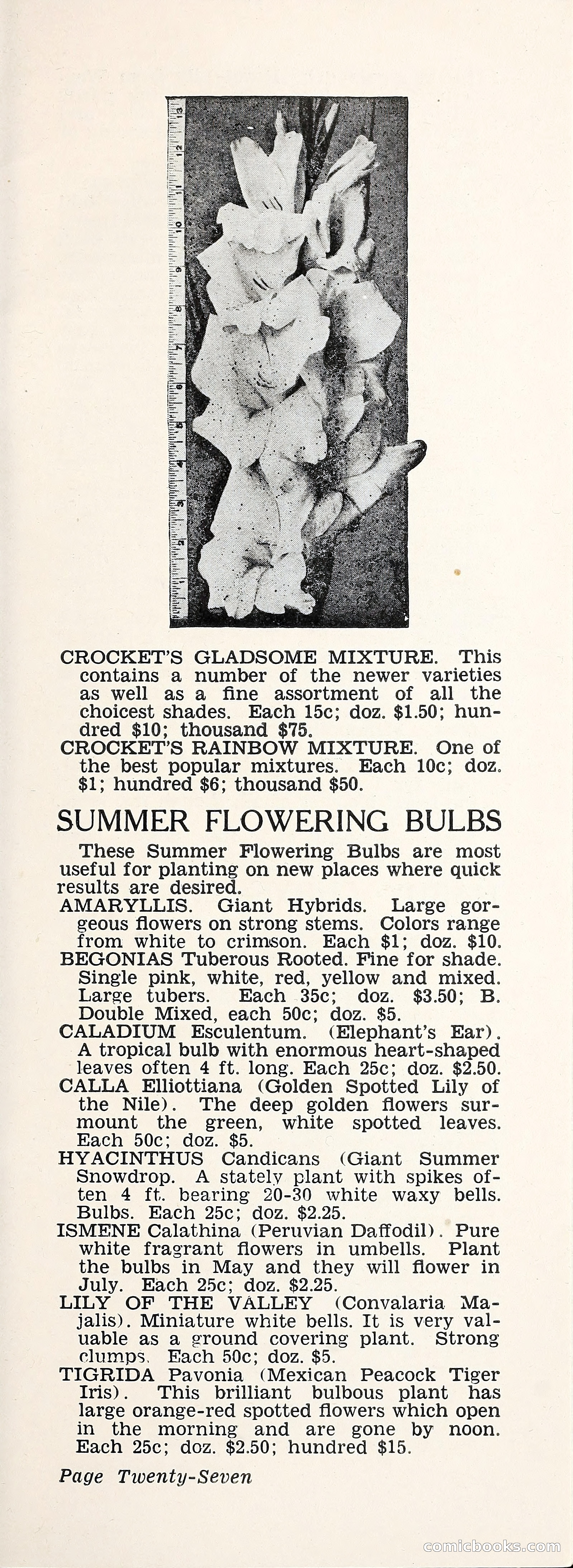 Crockett's Blue Book: Alpines, Perennials, Seeds, Bulbs — page 32 of 40