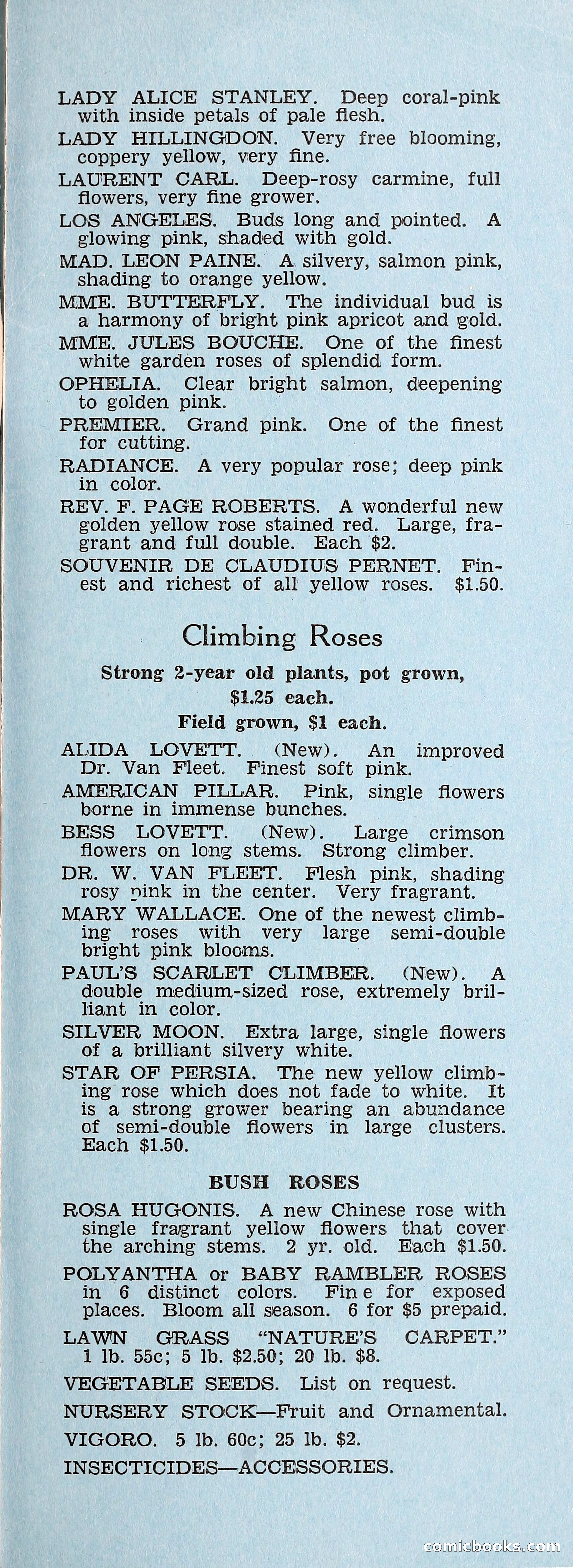 Crockett's Blue Book: Alpines, Perennials, Seeds, Bulbs — page 38 of 40