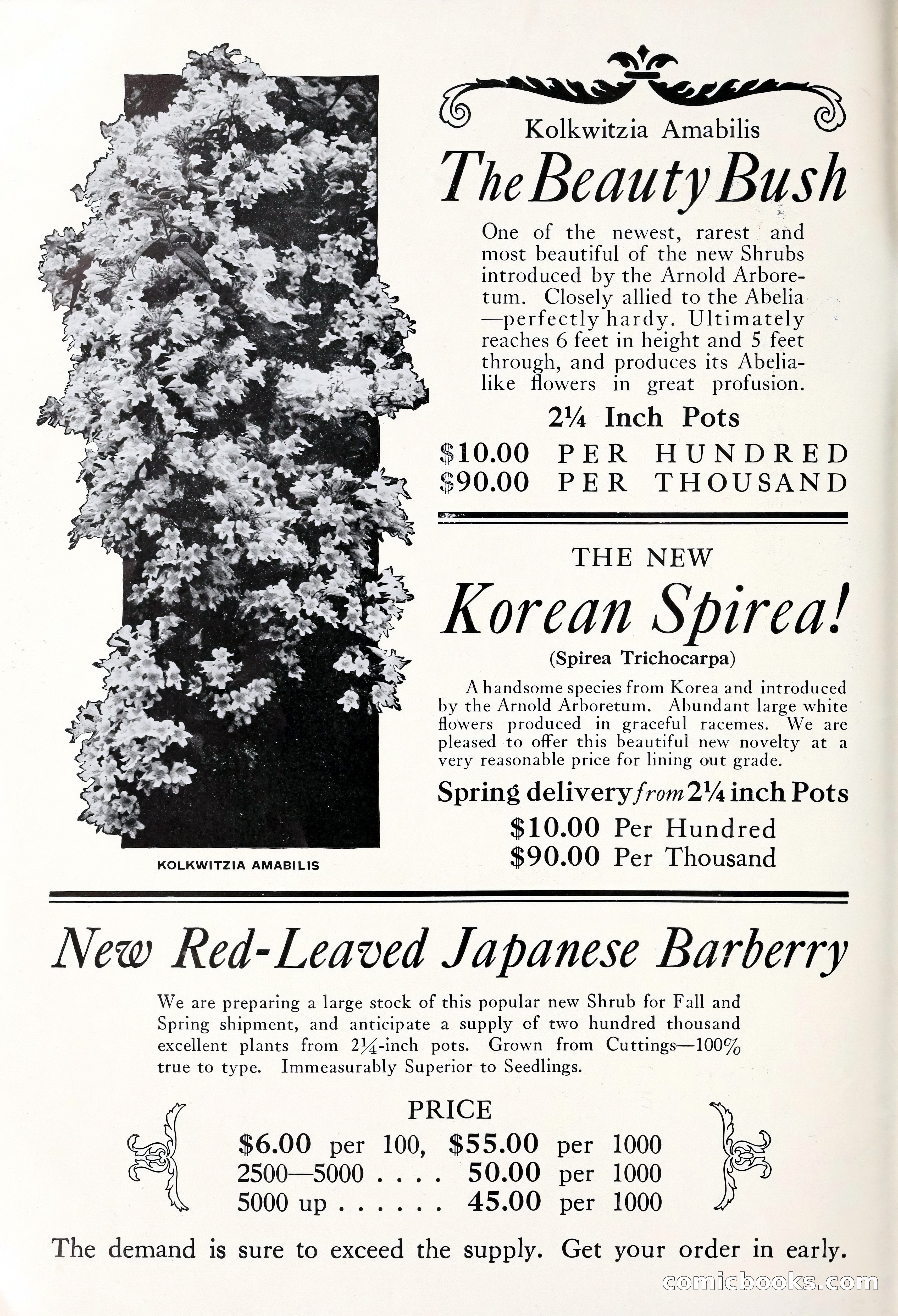 Good & Reese Co.'s Blue Book for Florists — page 4 of 60