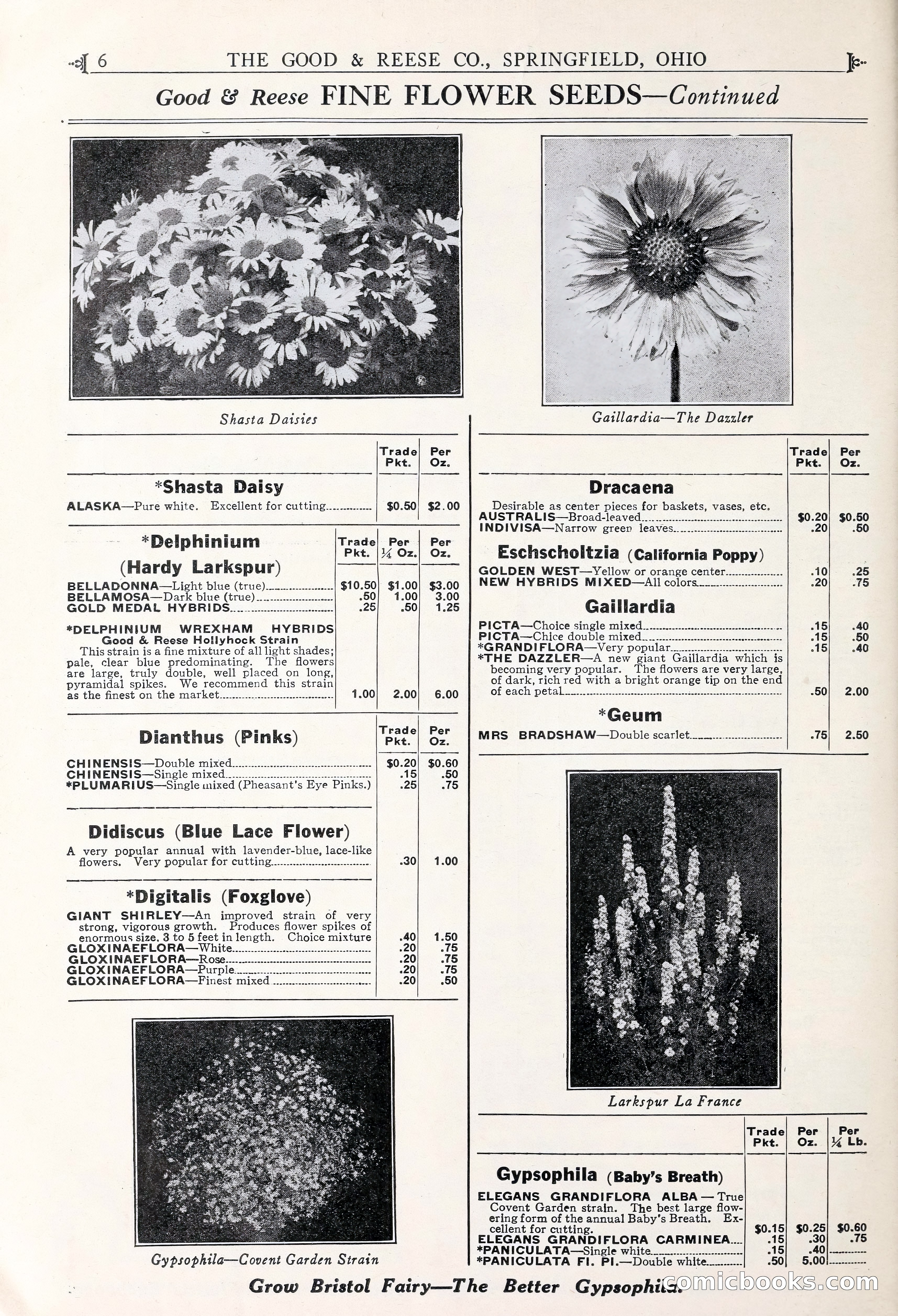 Good & Reese Co.'s Blue Book for Florists — page 10 of 60
