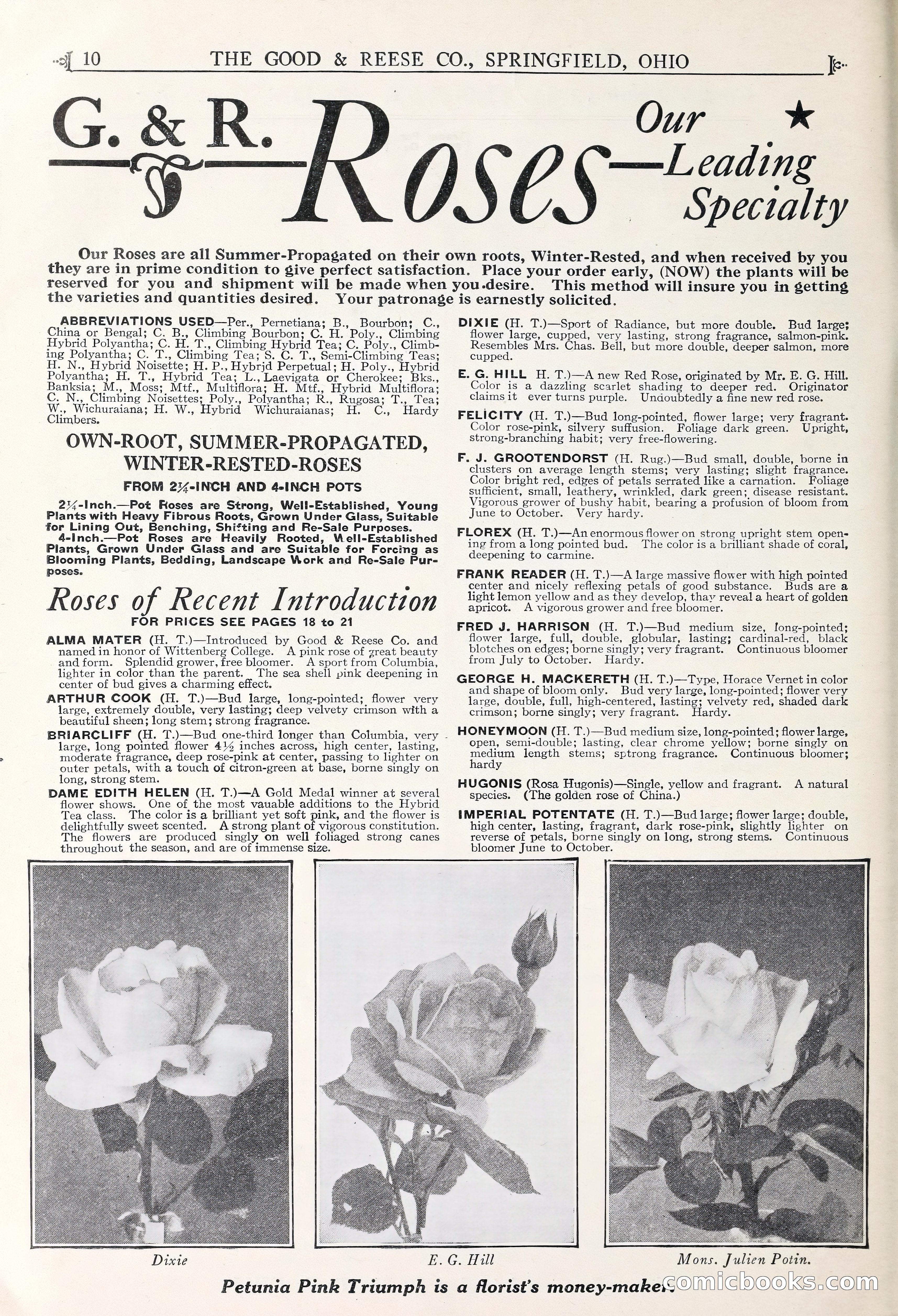 Good & Reese Co.'s Blue Book for Florists — page 14 of 60