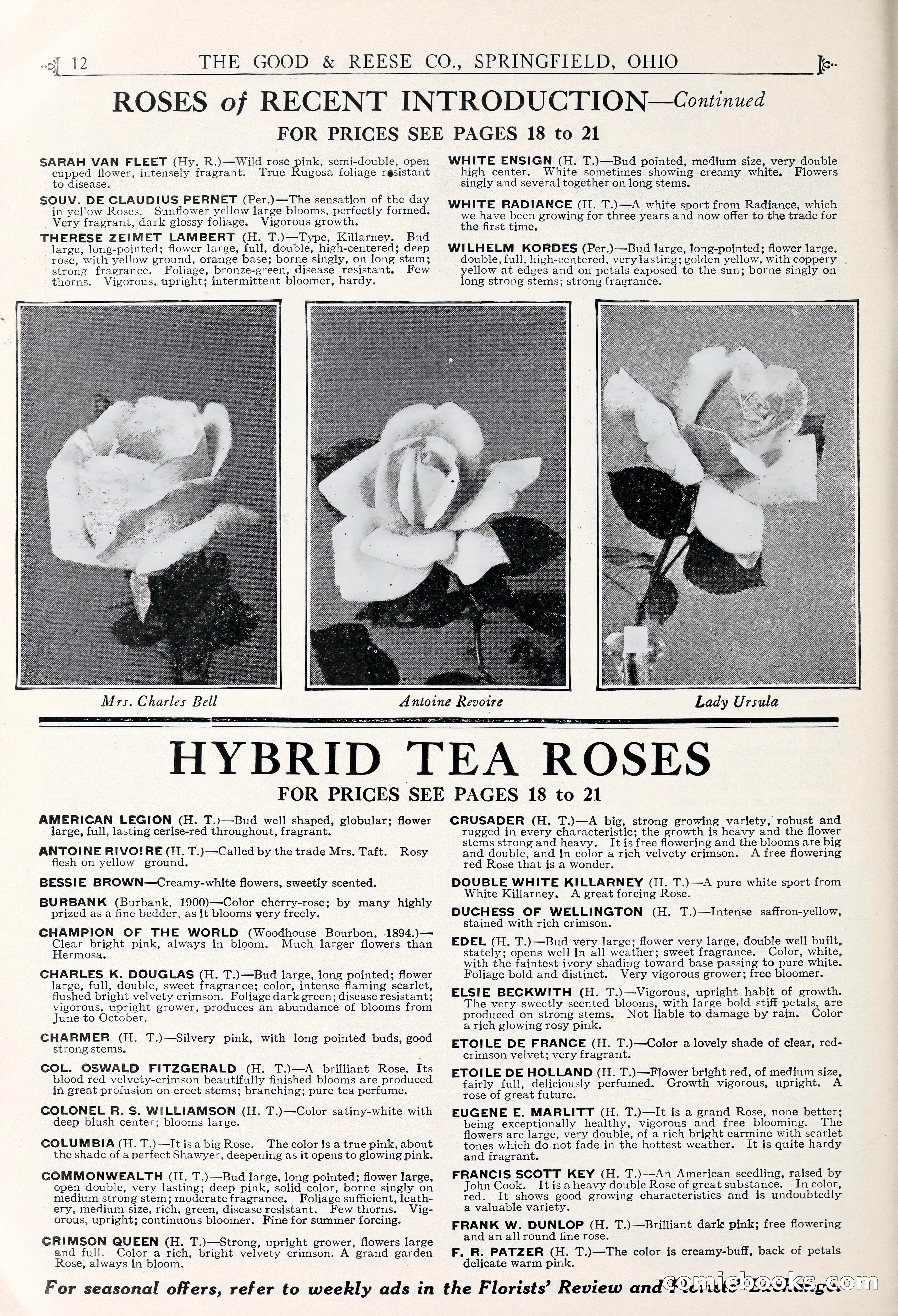 Good & Reese Co.'s Blue Book for Florists — page 16 of 60