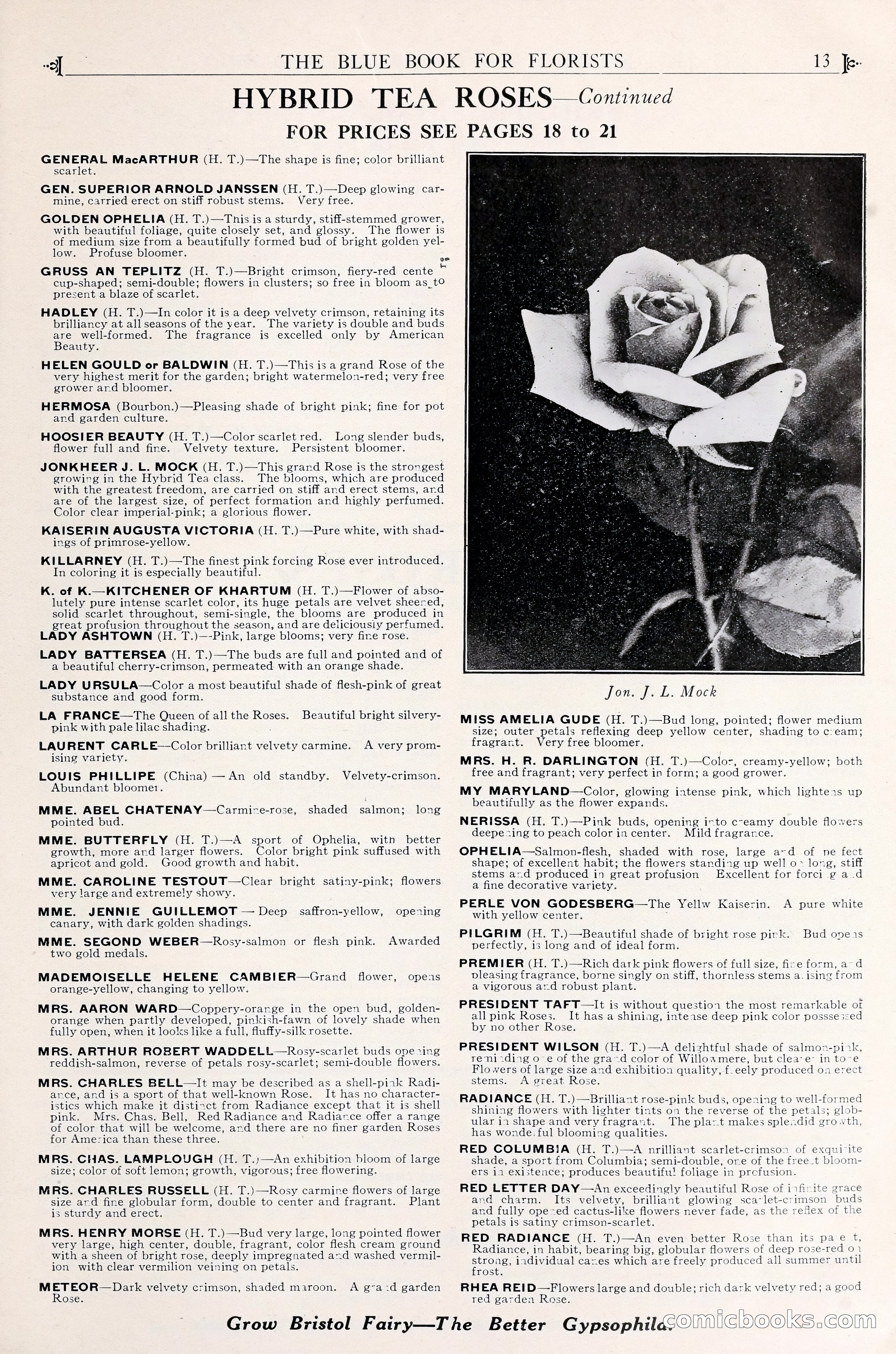 Good & Reese Co.'s Blue Book for Florists — page 17 of 60