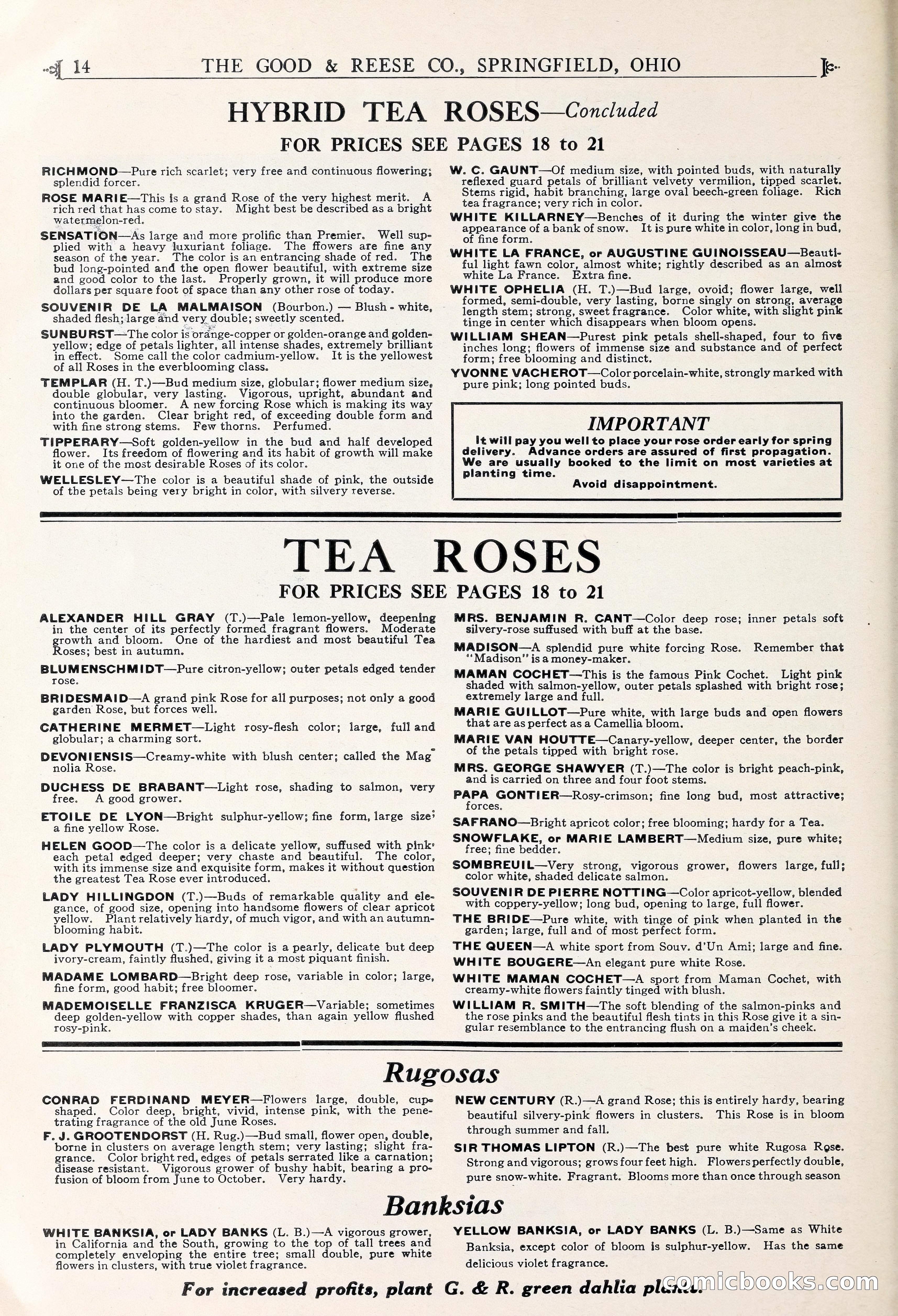 Good & Reese Co.'s Blue Book for Florists — page 18 of 60