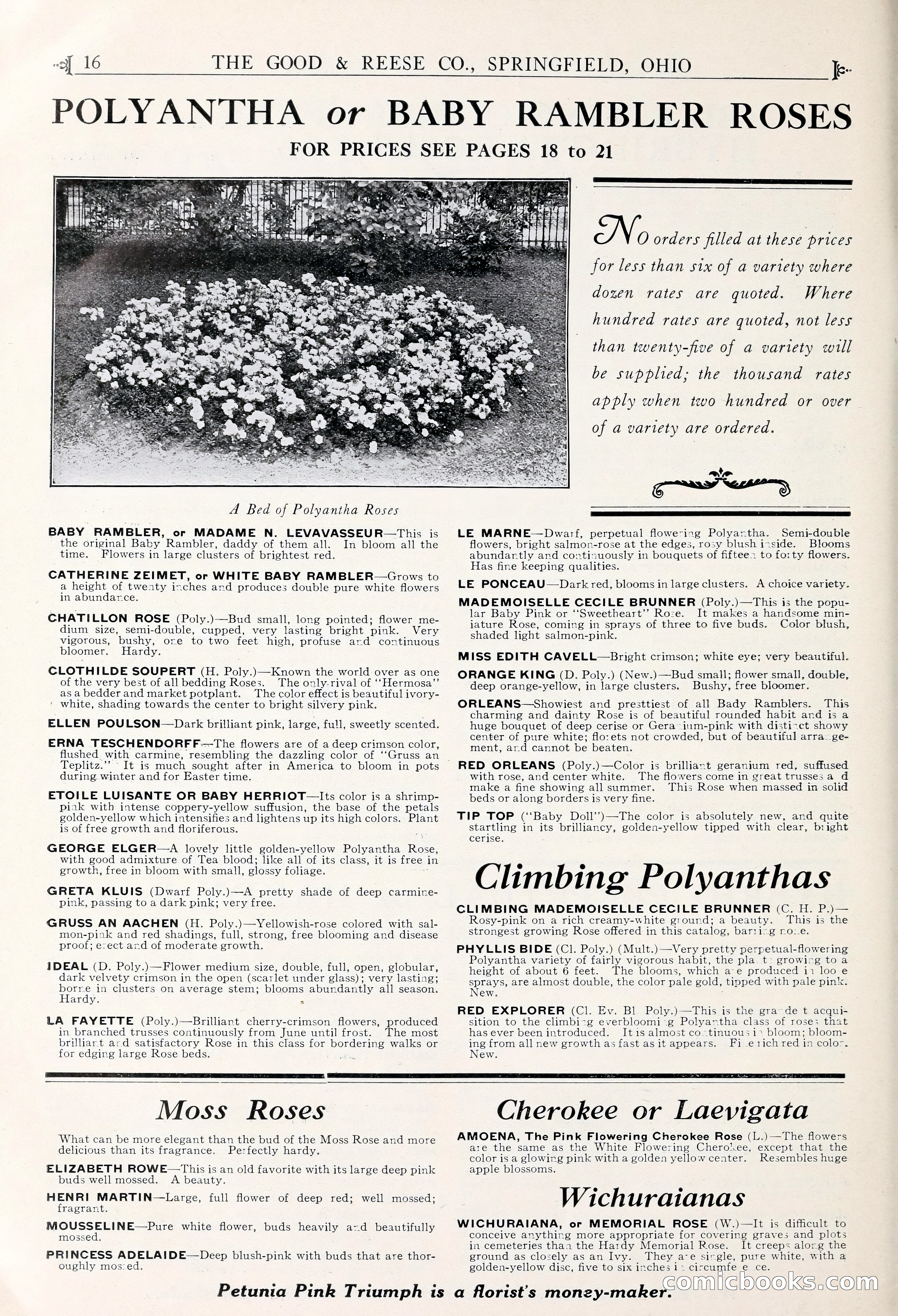 Good & Reese Co.'s Blue Book for Florists — page 20 of 60