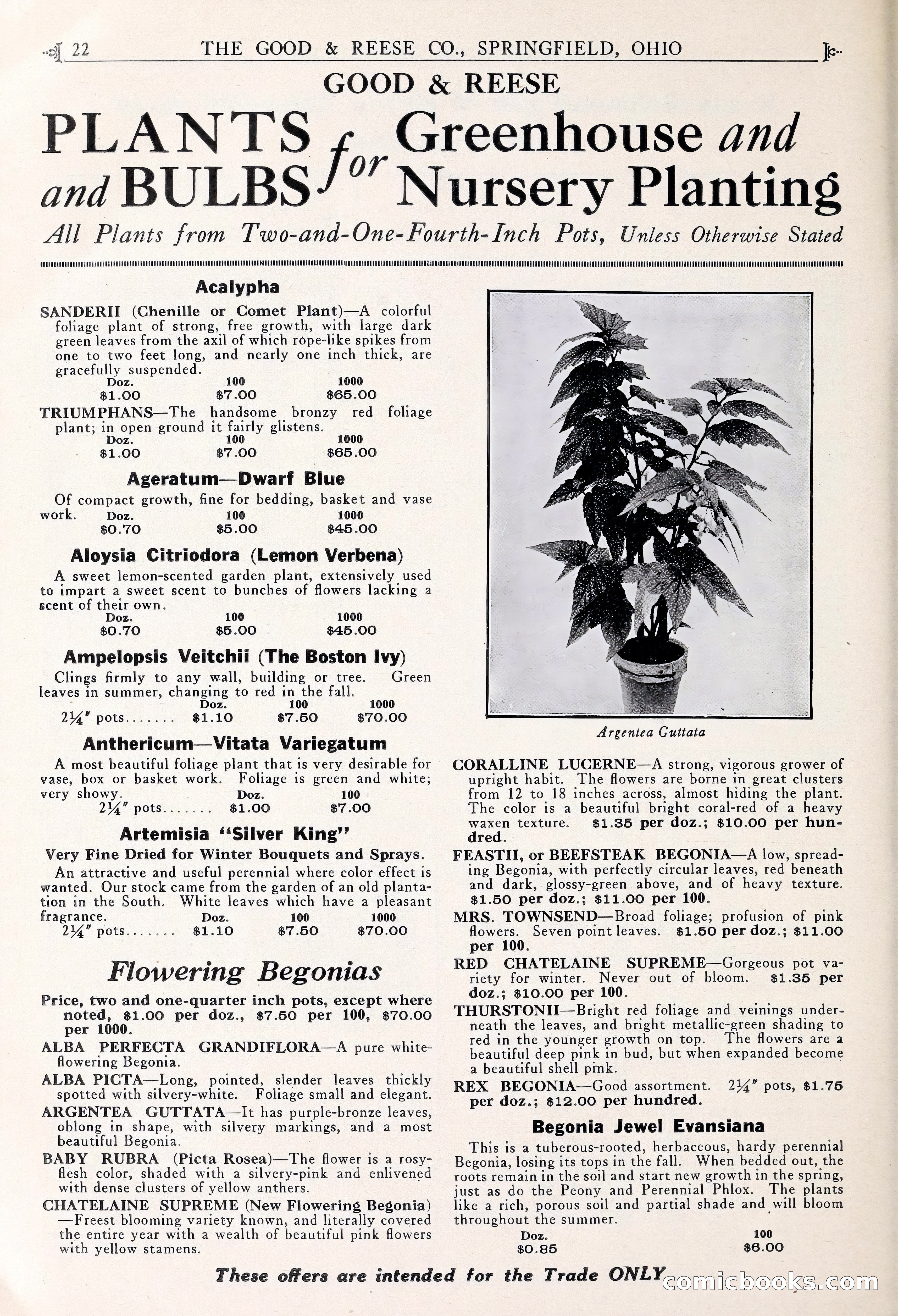 Good & Reese Co.'s Blue Book for Florists — page 26 of 60