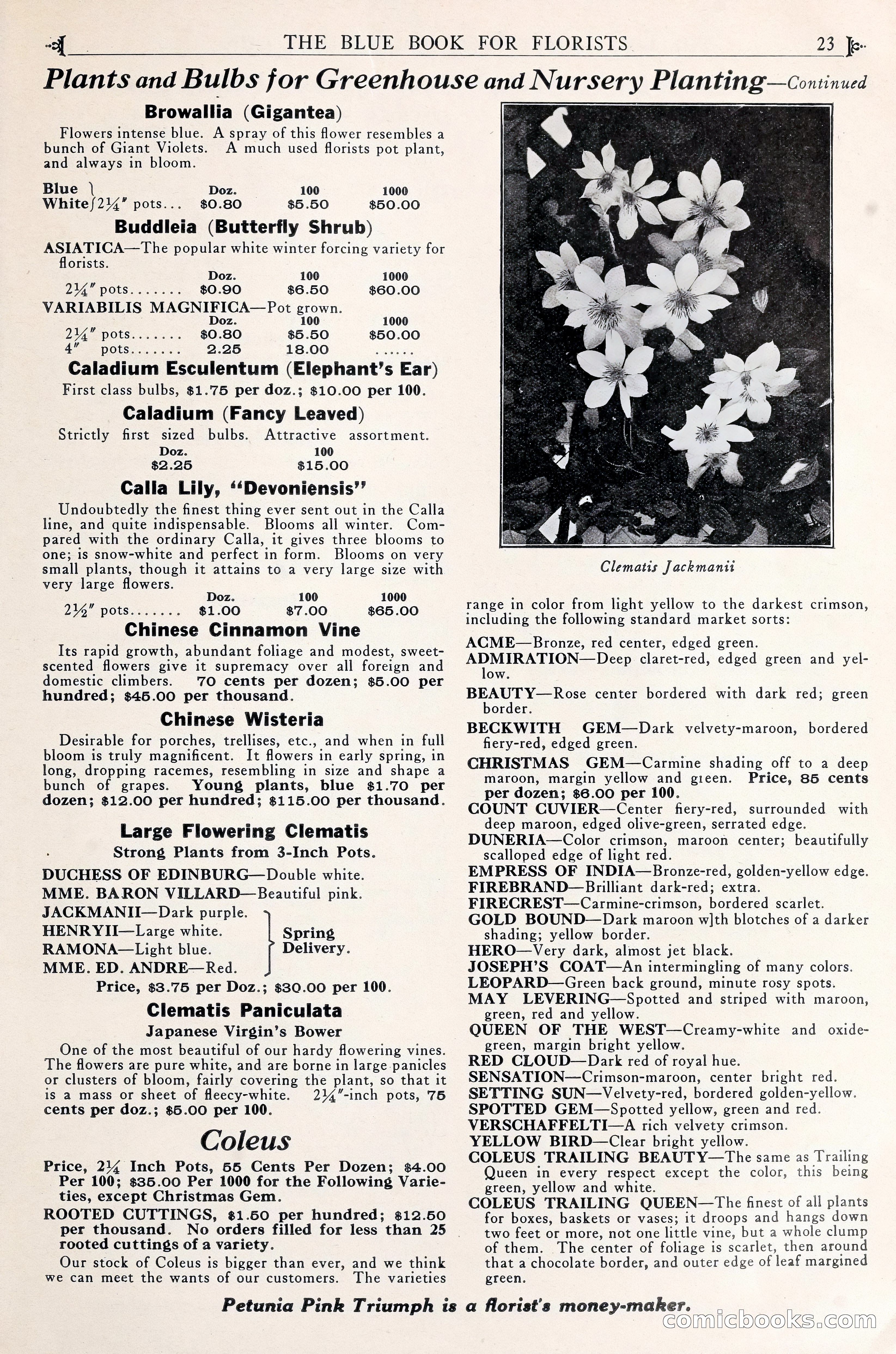 Good & Reese Co.'s Blue Book for Florists — page 27 of 60