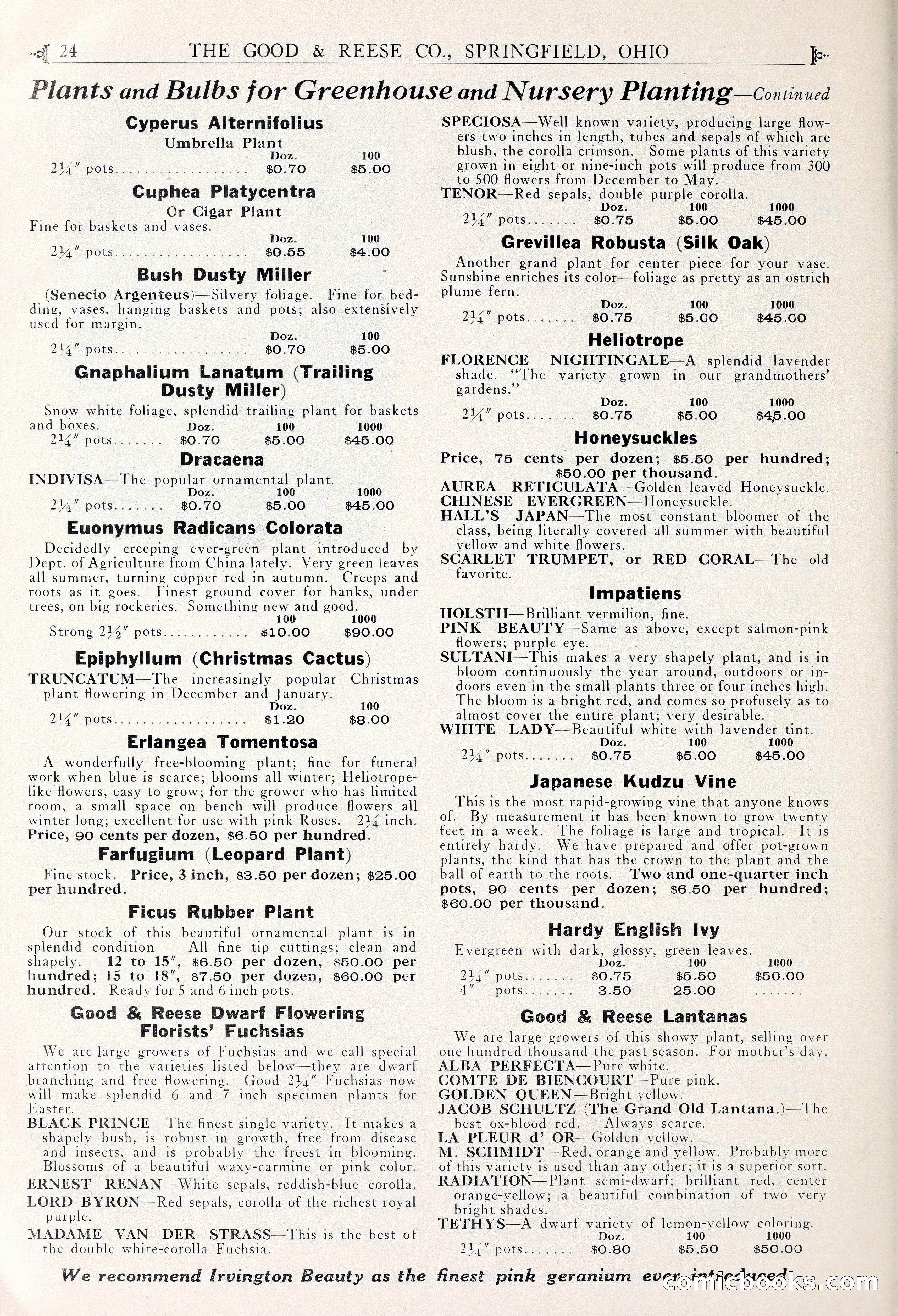 Good & Reese Co.'s Blue Book for Florists — page 28 of 60