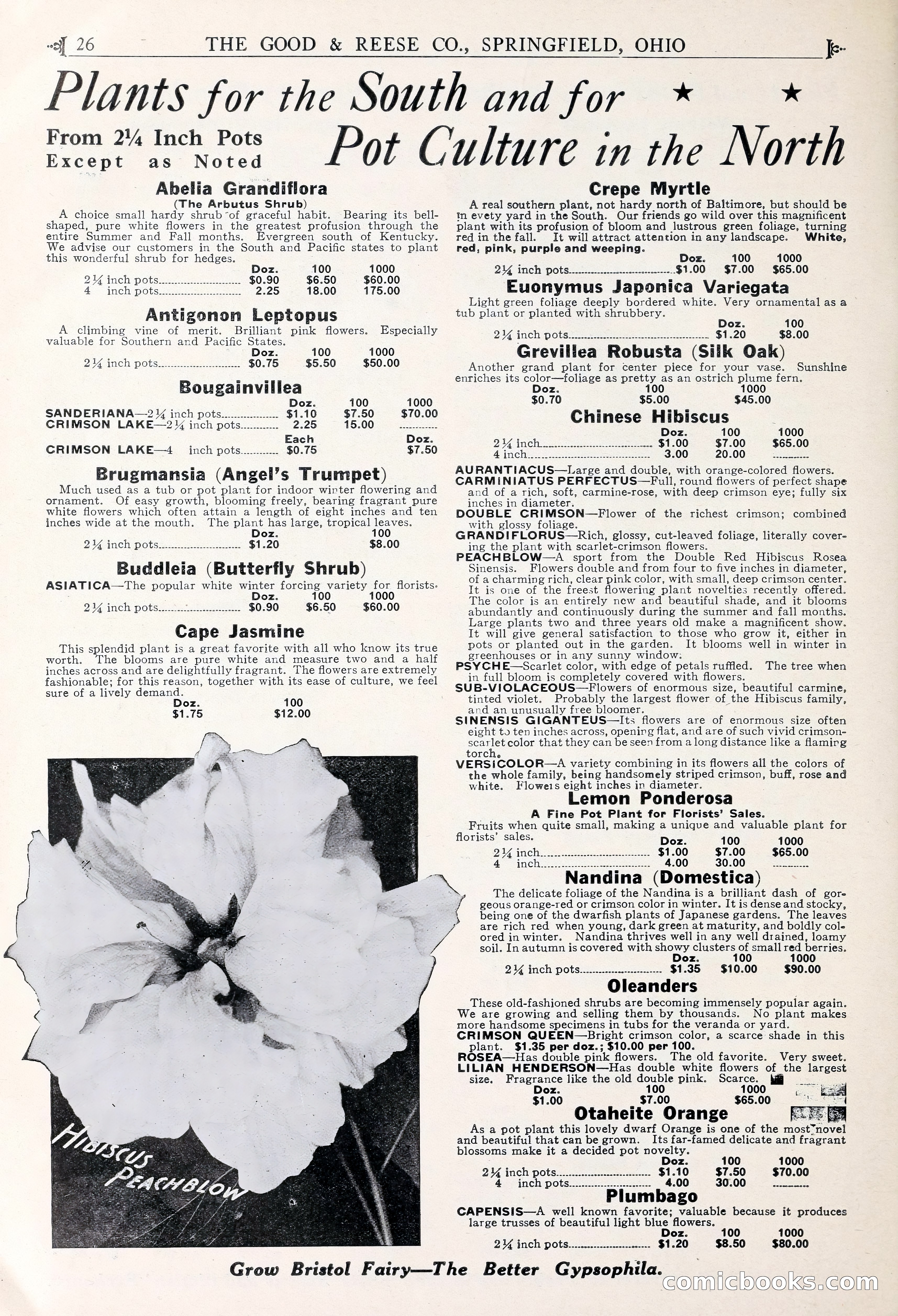 Good & Reese Co.'s Blue Book for Florists — page 30 of 60