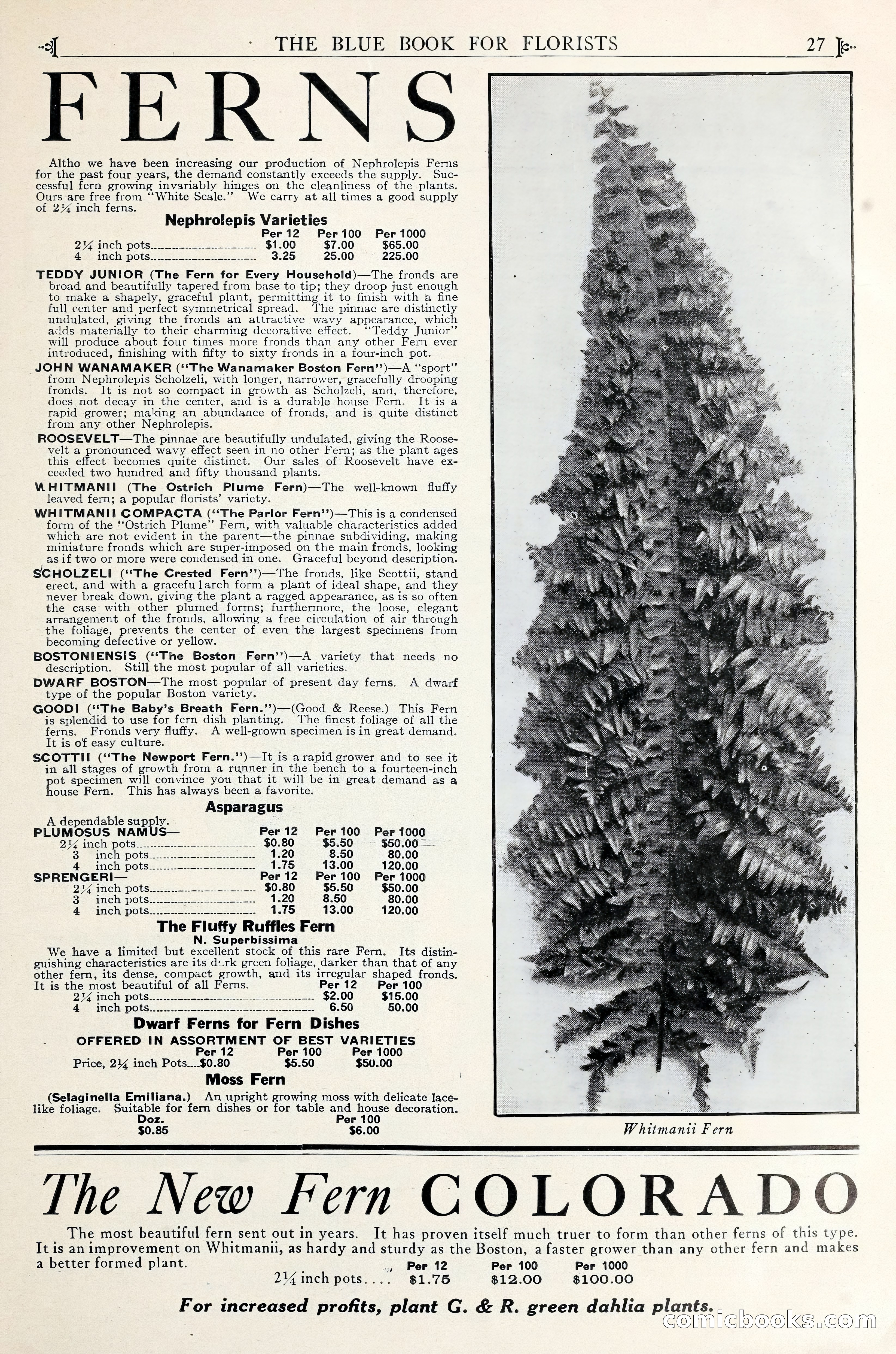 Good & Reese Co.'s Blue Book for Florists — page 31 of 60