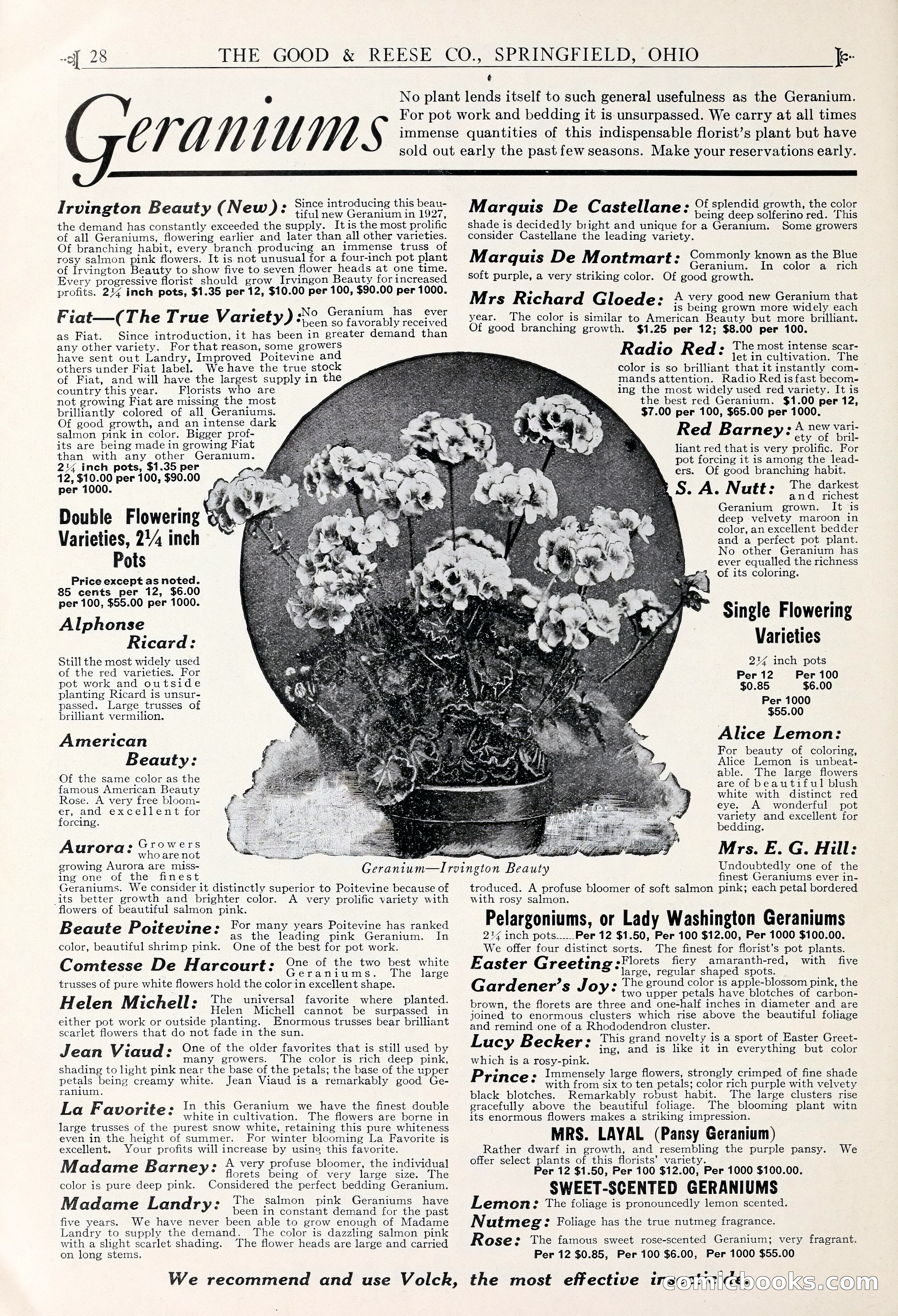 Good & Reese Co.'s Blue Book for Florists — page 32 of 60