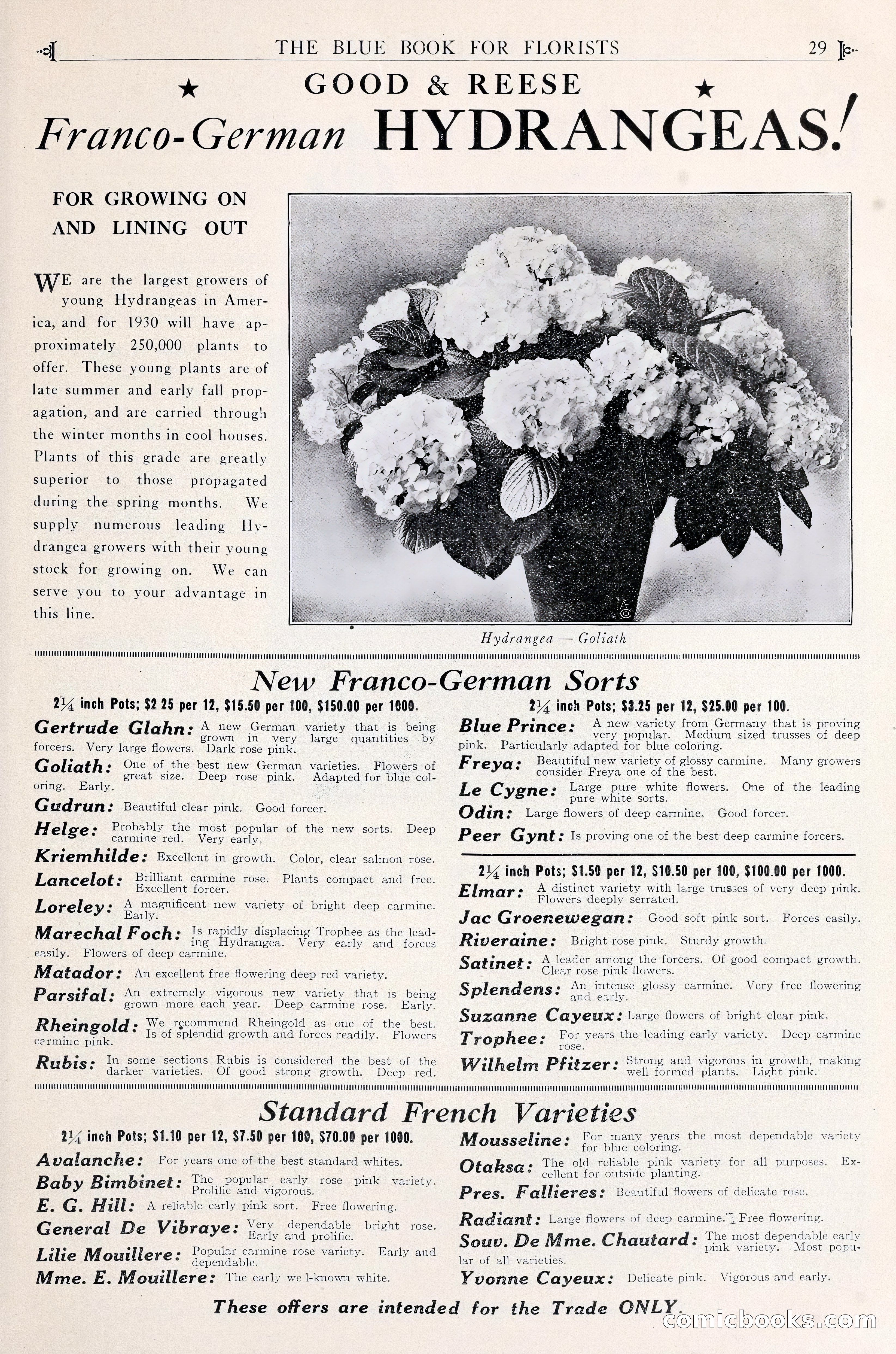 Good & Reese Co.'s Blue Book for Florists — page 33 of 60