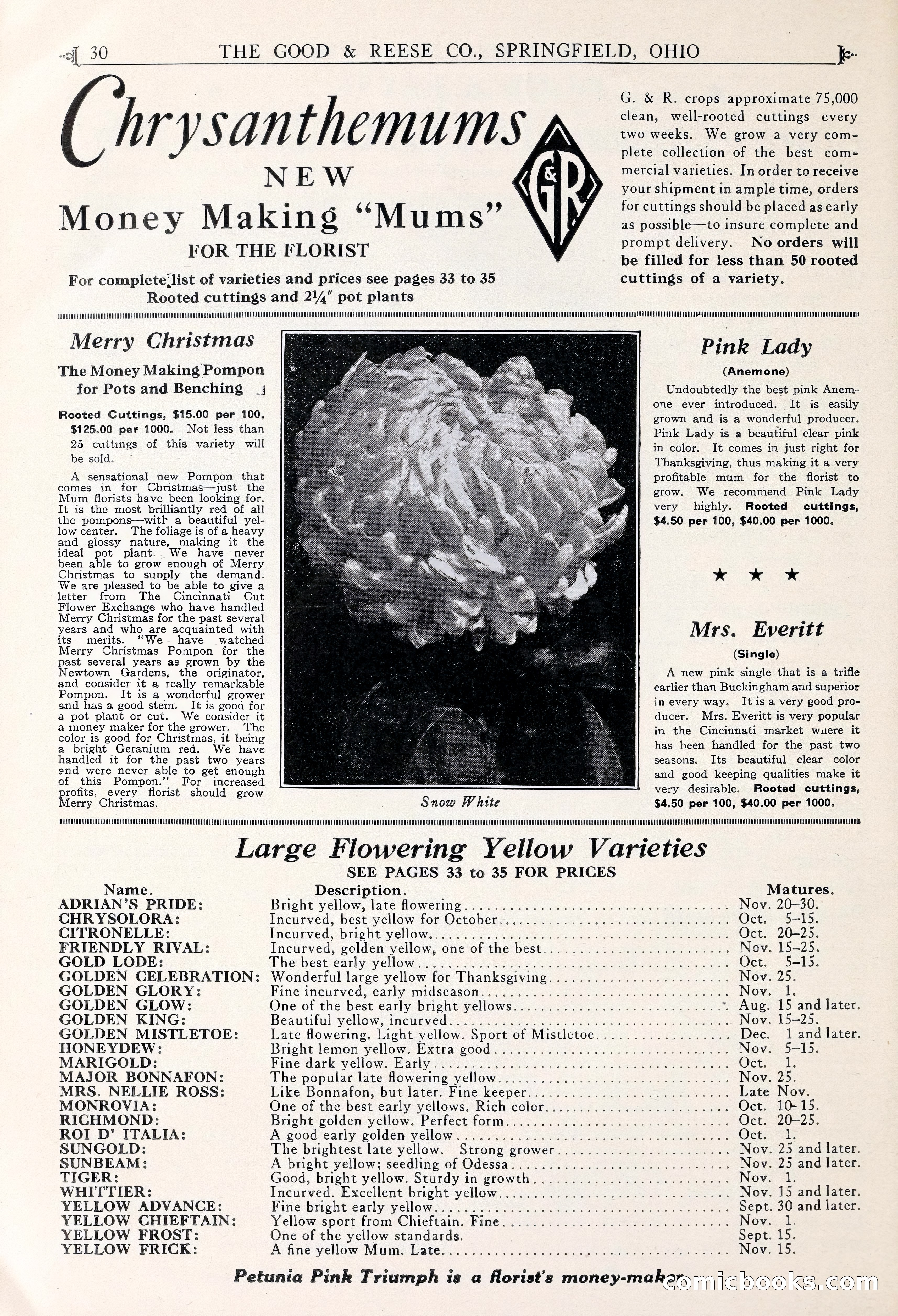 Good & Reese Co.'s Blue Book for Florists — page 34 of 60